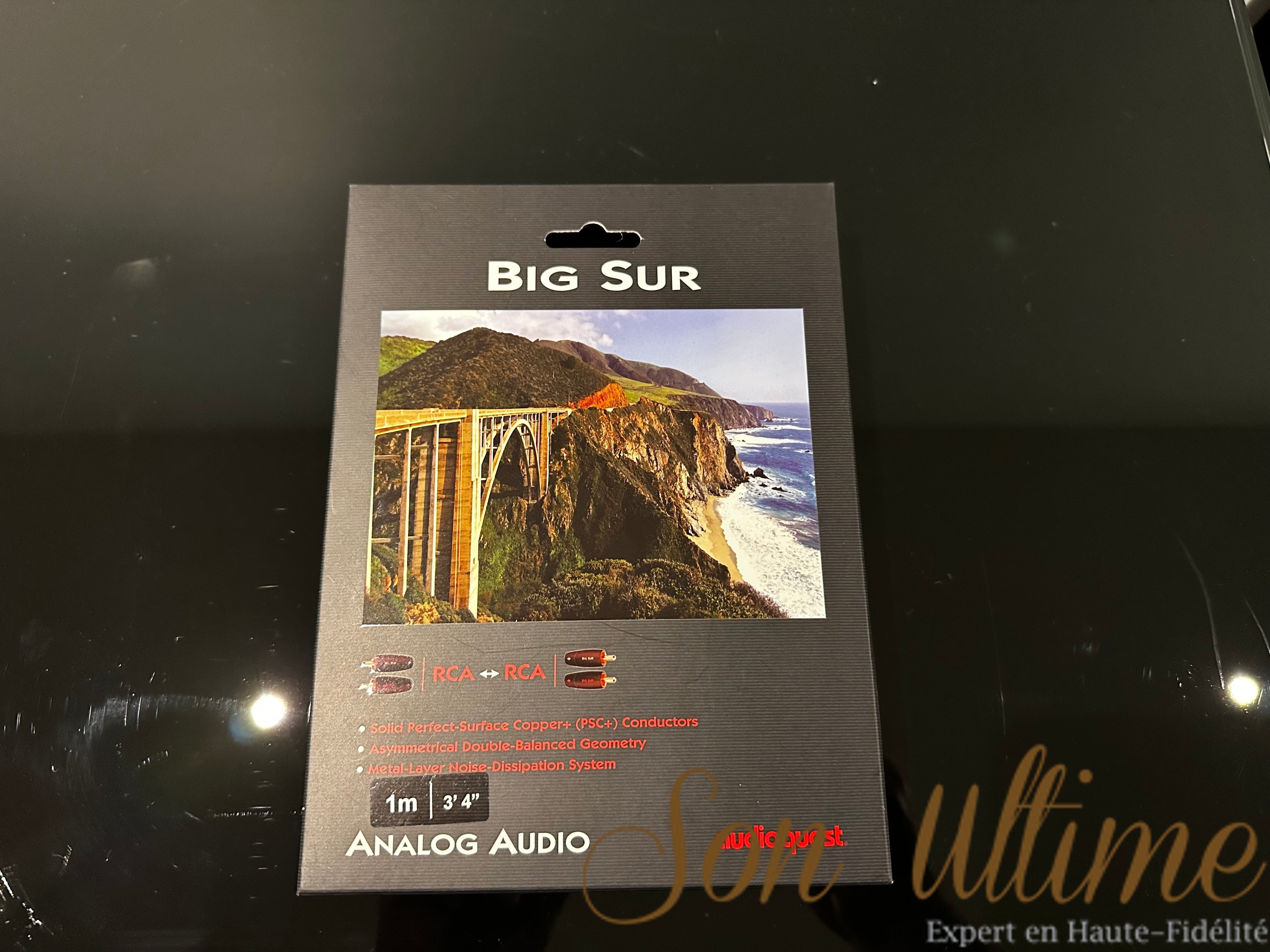 Big Sur RCA 1M (Used Sold)
