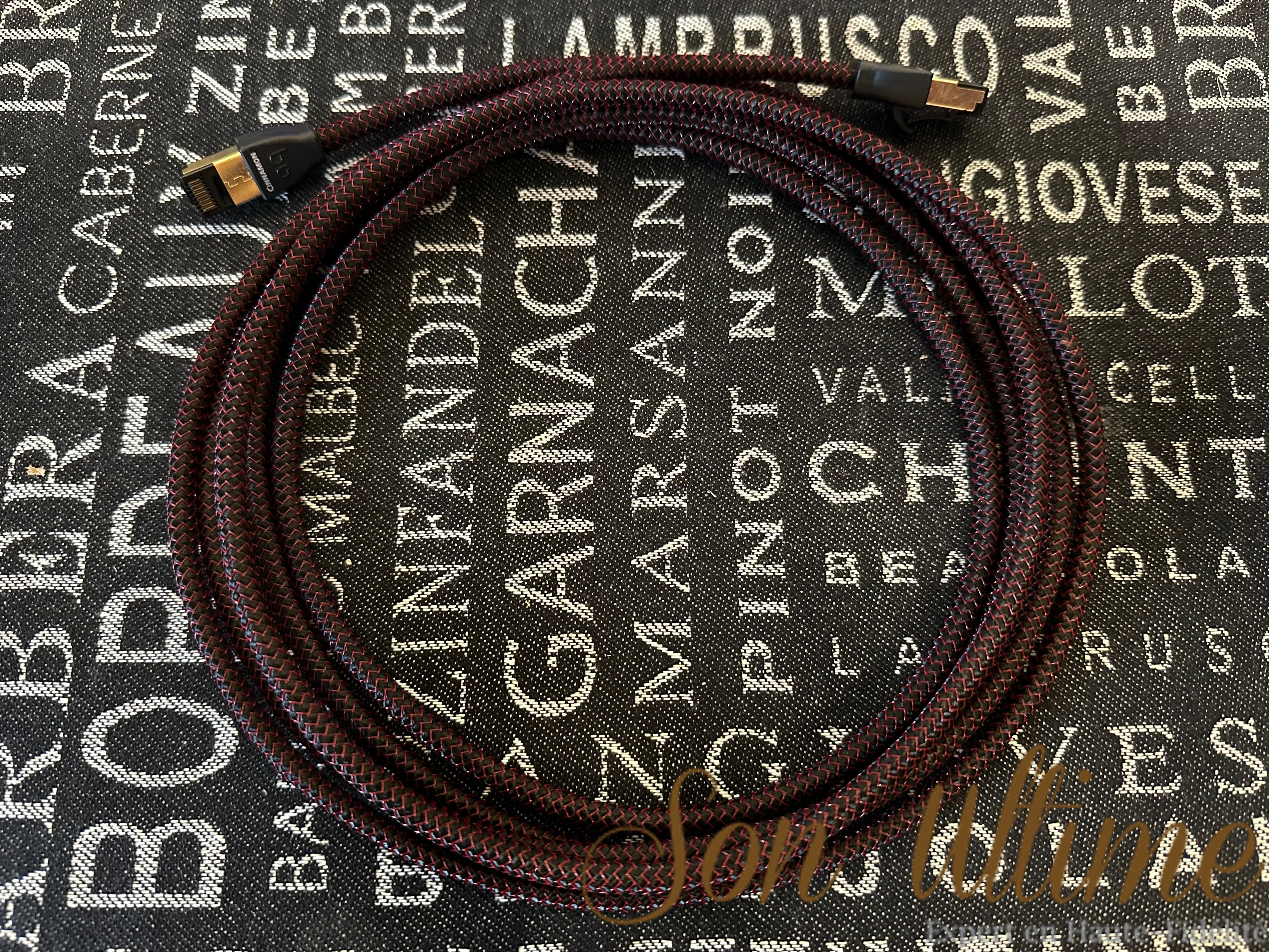 Cinnamon Ethernet 3M (Used Sold)