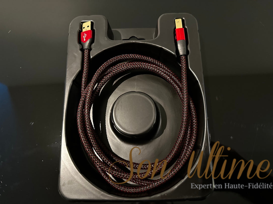 Cinnamon USB 1.5M (Occasion Vendue)