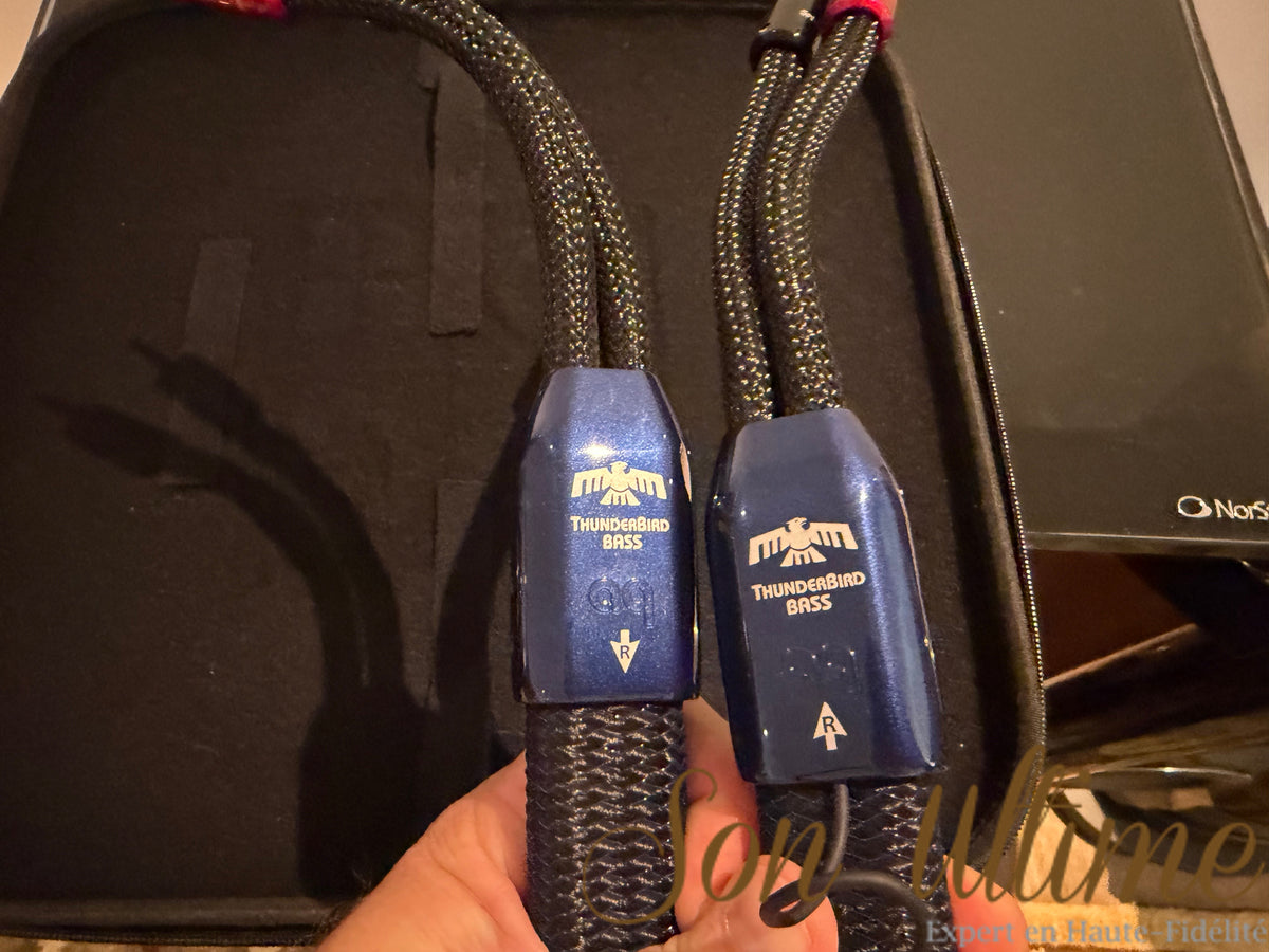 Thunderbird Bass Banane 6 Pieds (Occasion)
