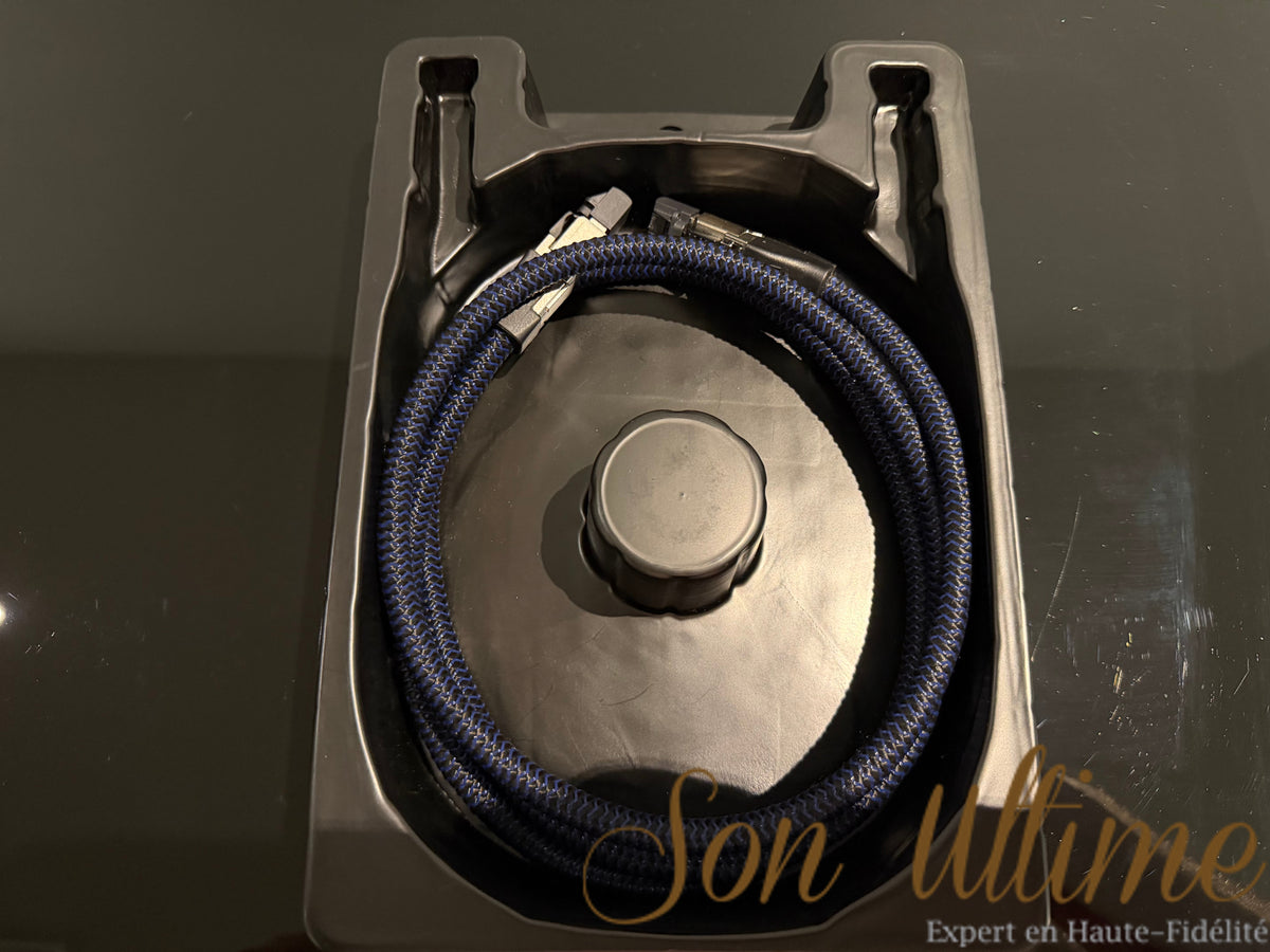 Vodka Ethernet 1.5M (Occasion)