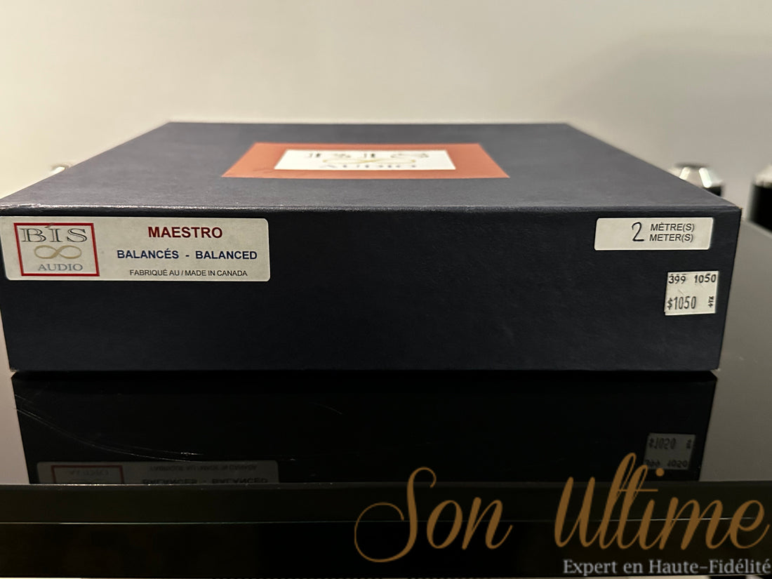 Maestro XLR 2M (Occasion Vendue)