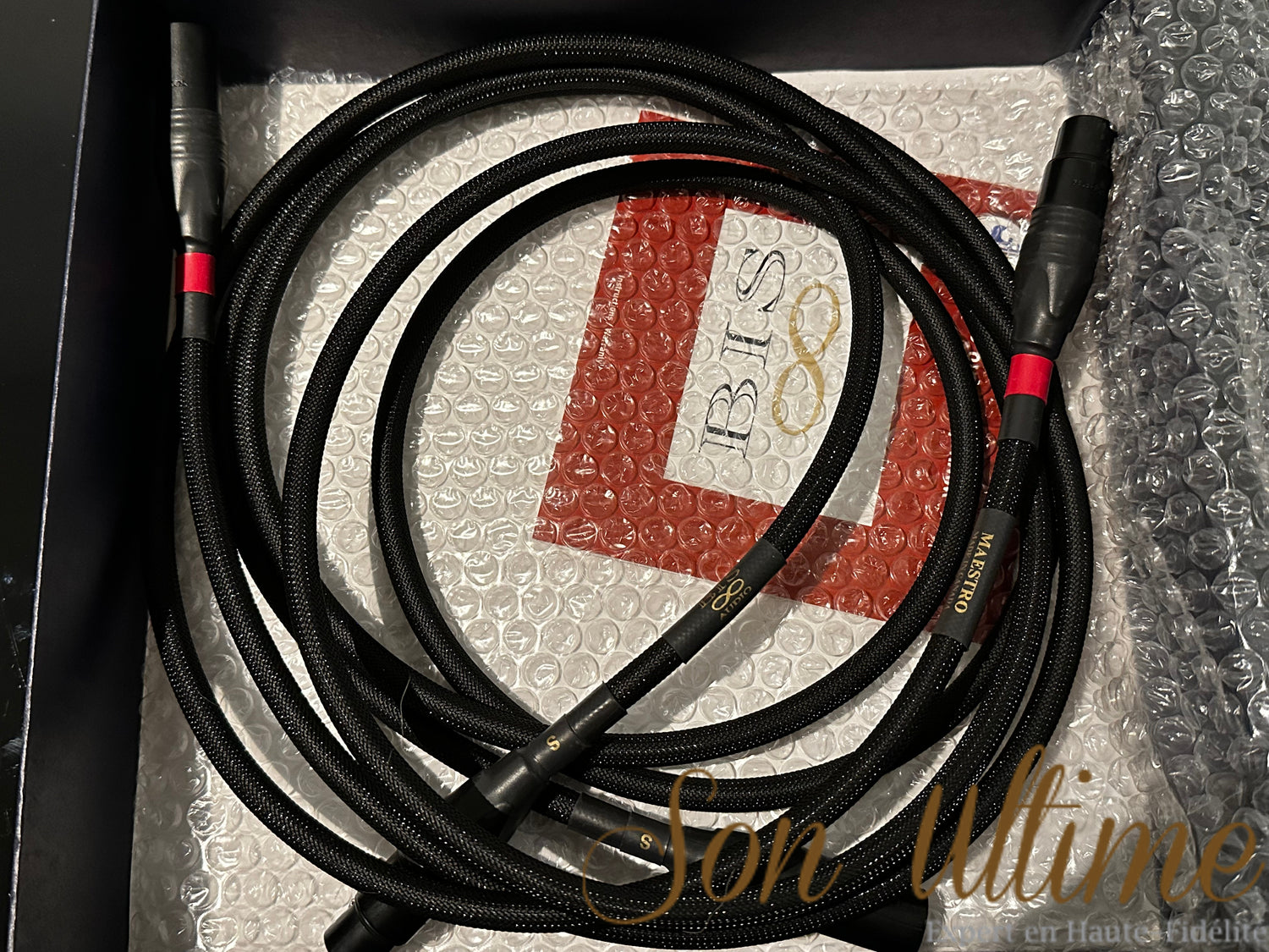 Maestro XLR 2M (Used Sold)