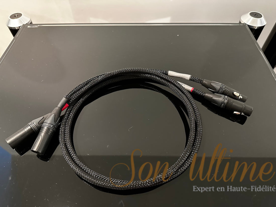 Vivat XLR 1M (Occasion Vendue)