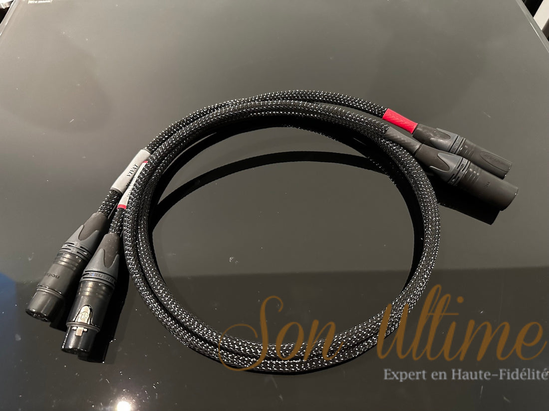 Vivat XLR 1M (Occasion Vendue)