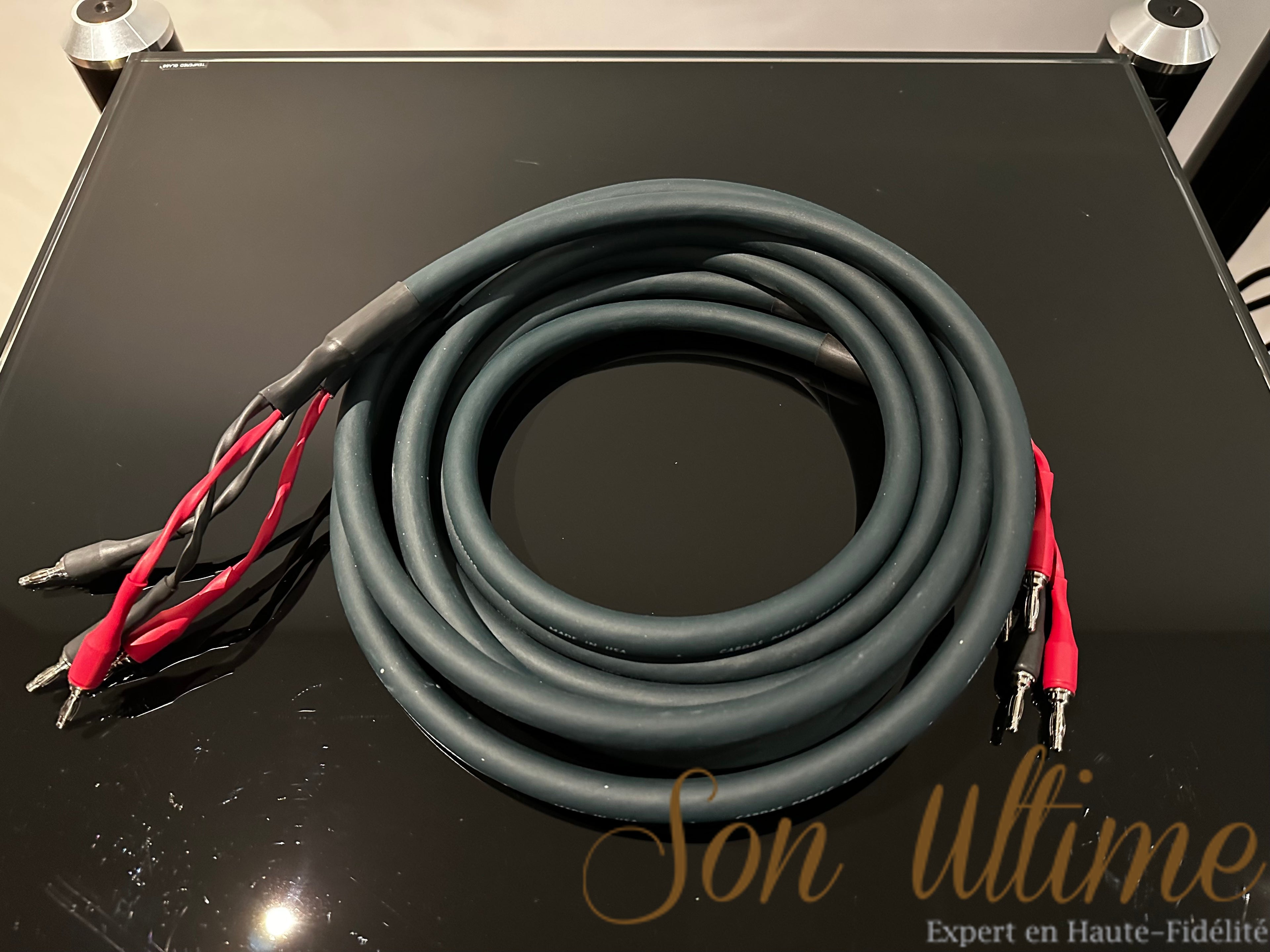 Parsec Speaker Banane 2.5M (Occasion Vendue)