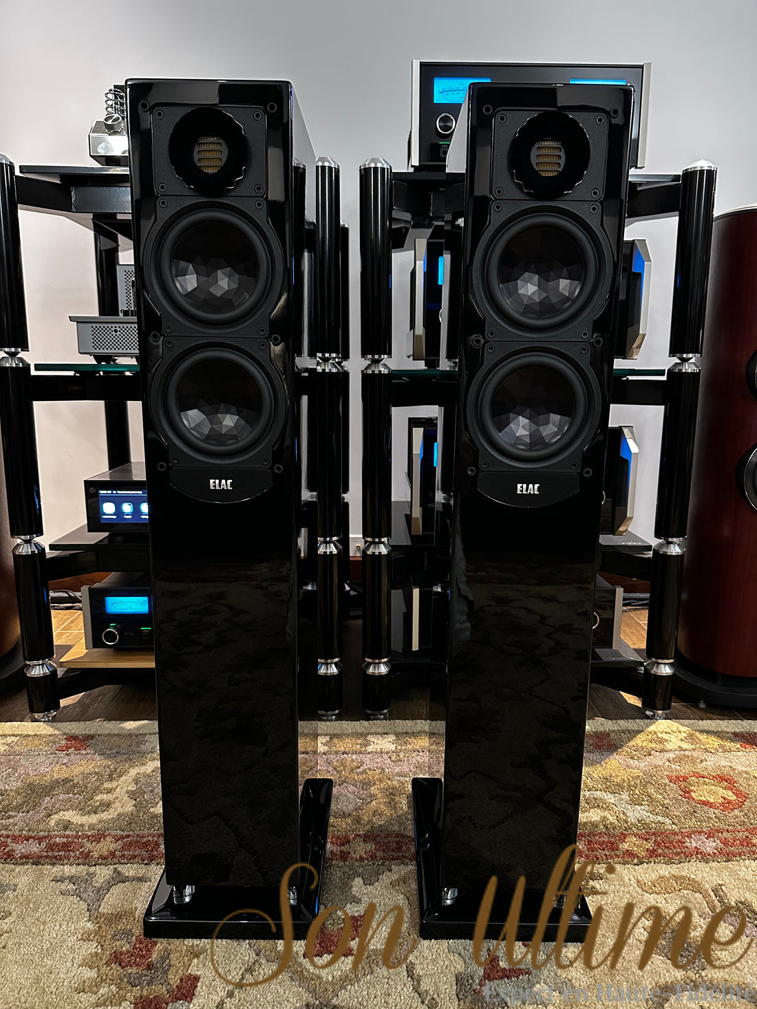 FS247 Black Edition (Occasion Vendue)