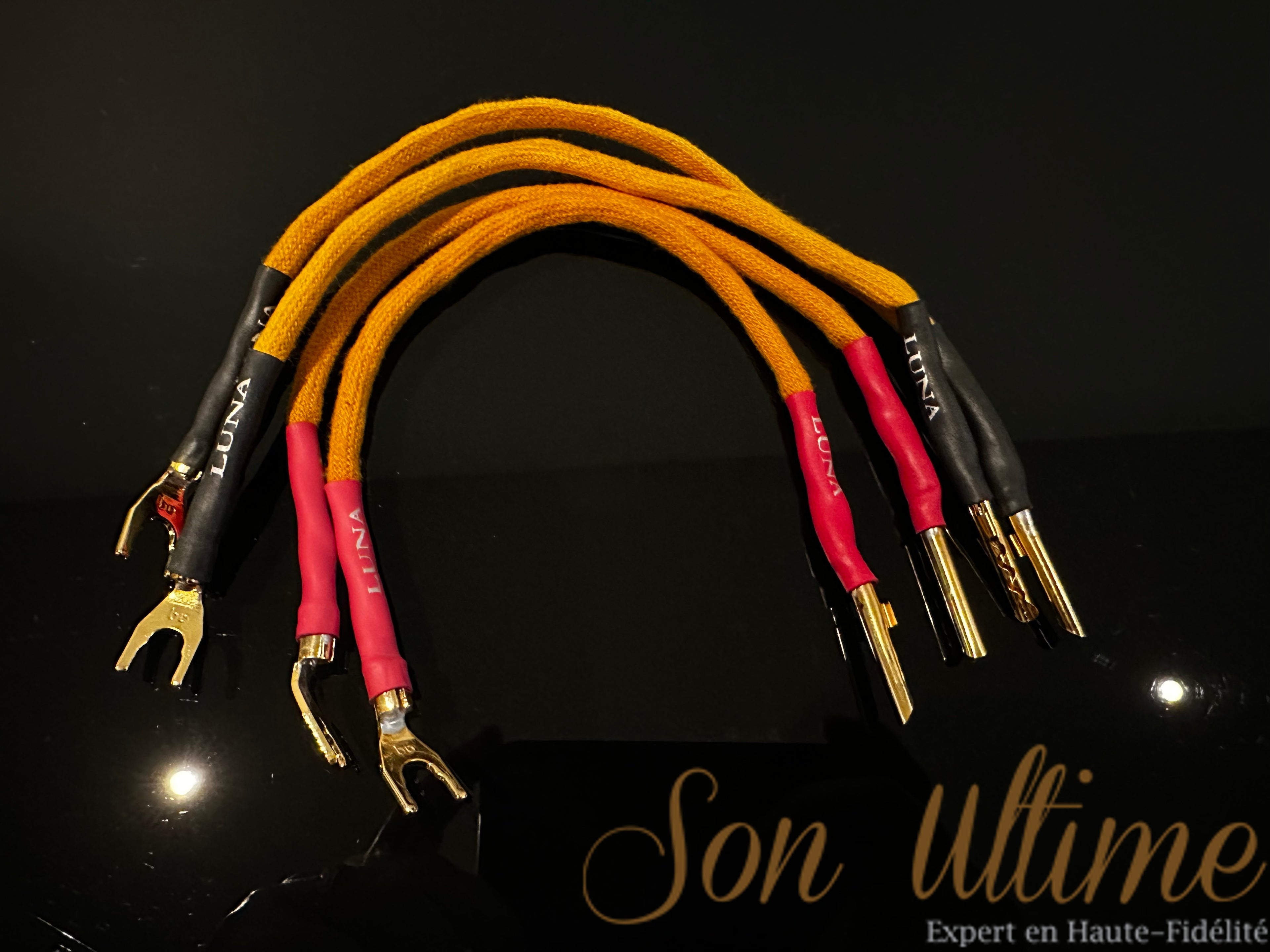 Orange Cavaliers (Used Sold)