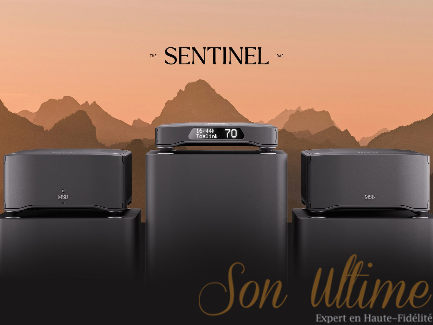 Sentinel