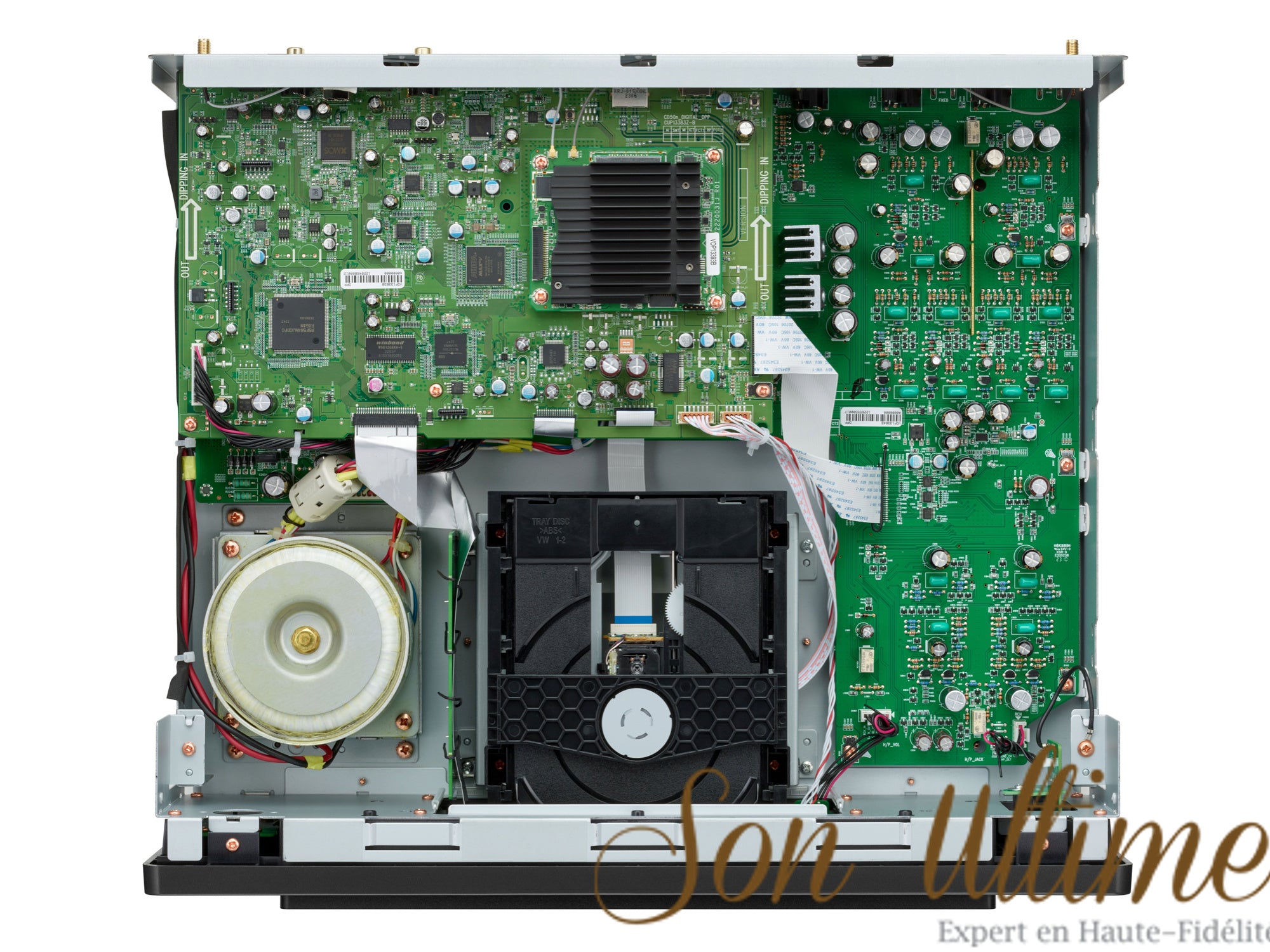 CD 50n