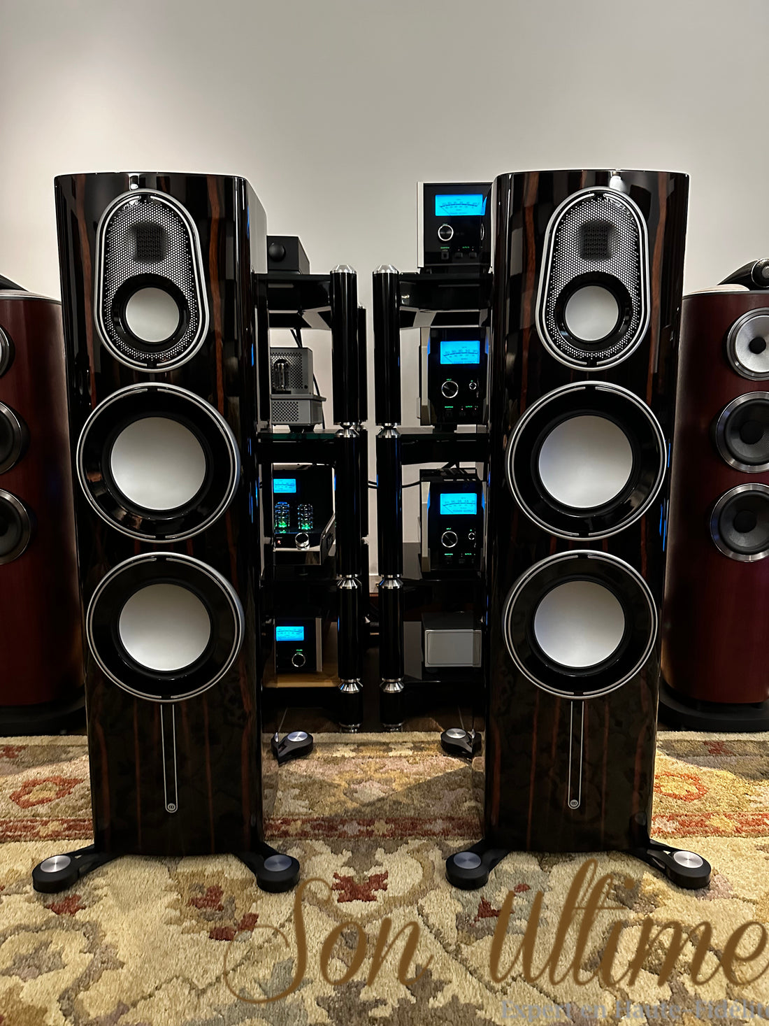 Platinum 300 3G (Occasion Vendue)