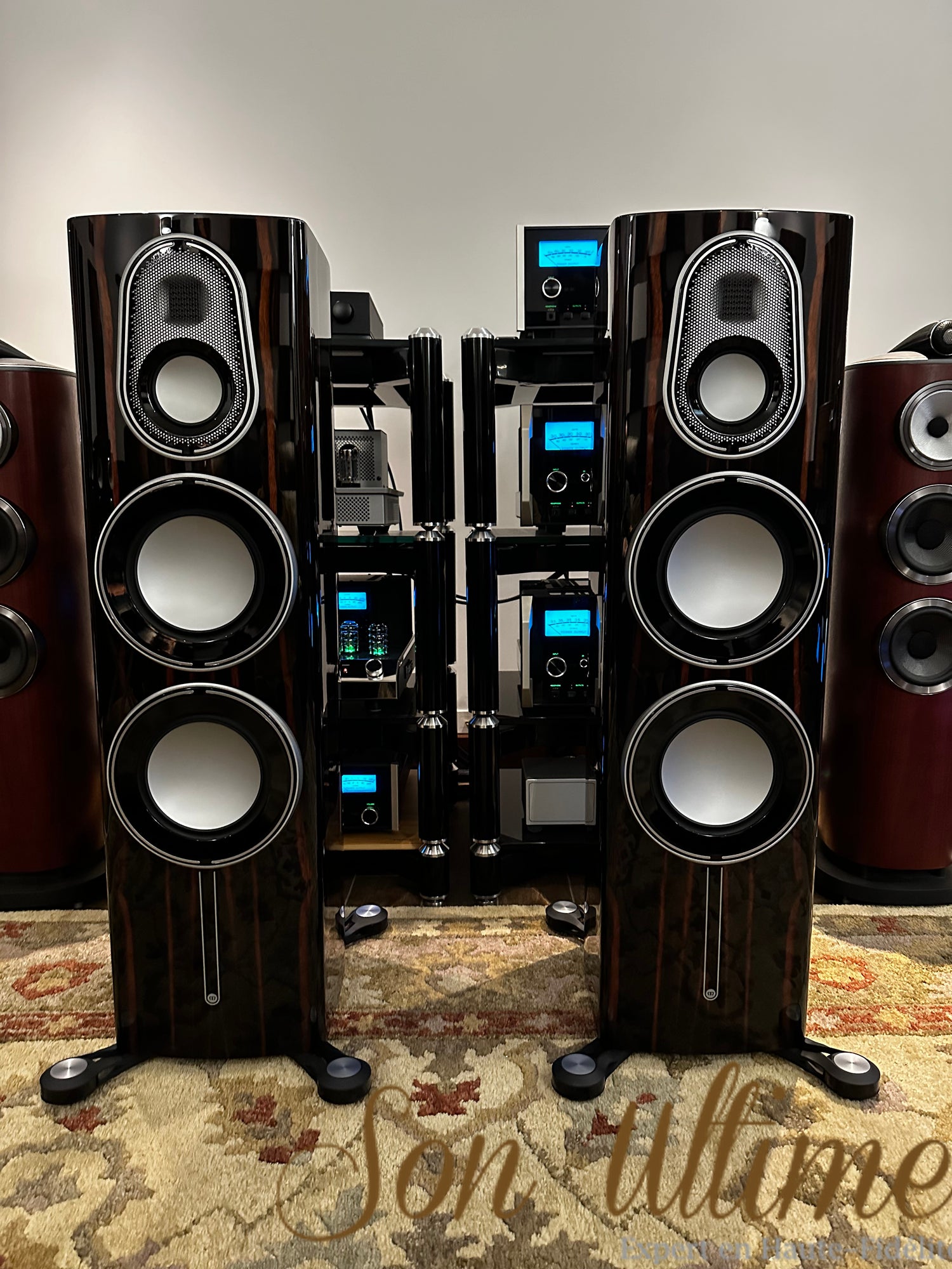 Platinum 300 3G (Used Sold)