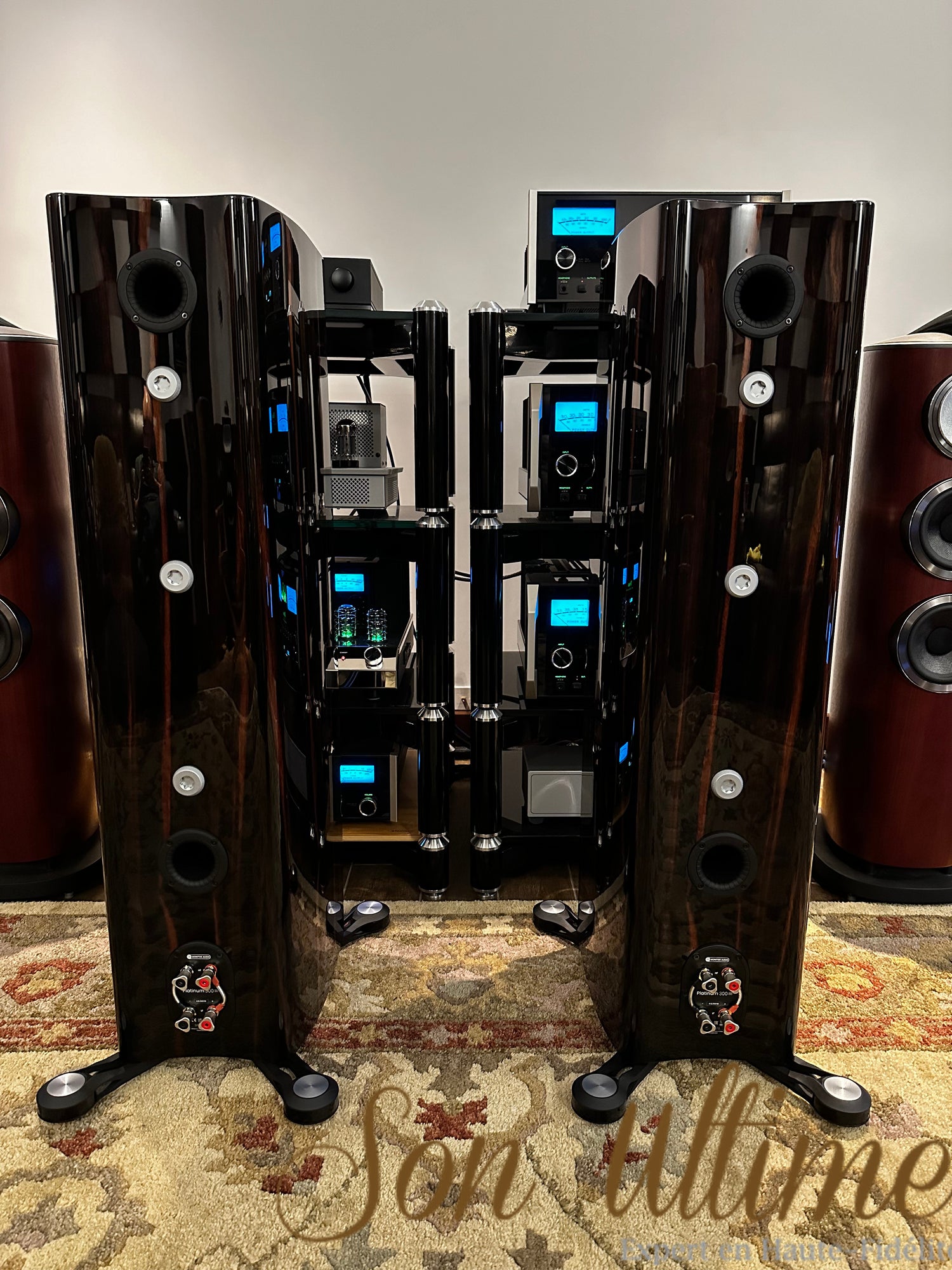 Platinum 300 3G (Used Sold)