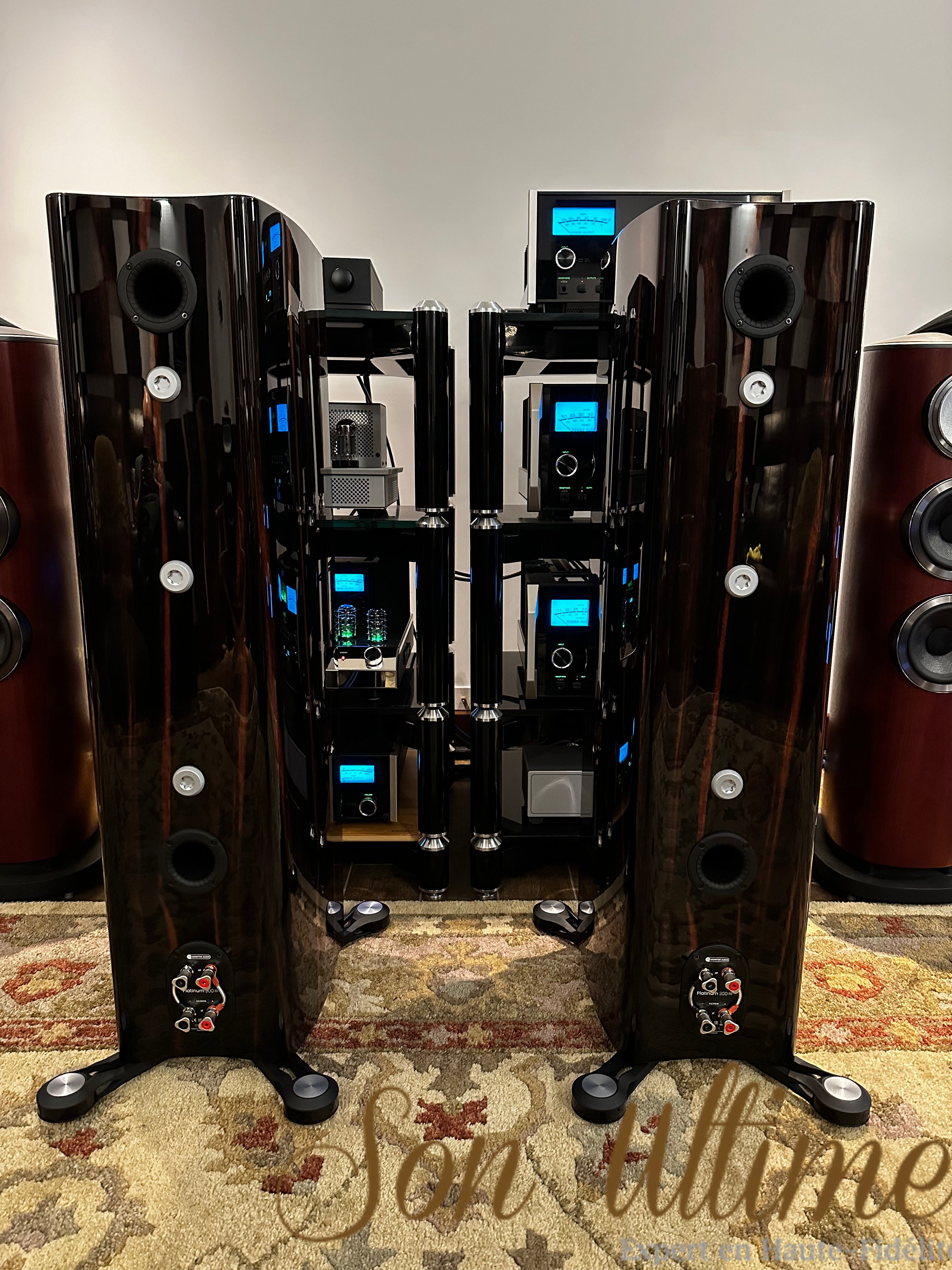 Platinum 300 3G (Used Sold)