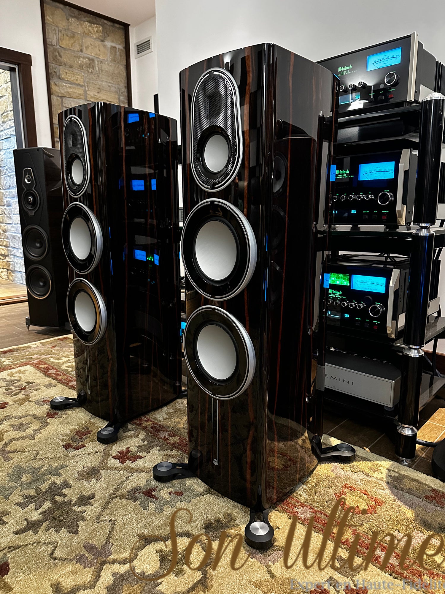 Platinum 300 3G (Used Sold)