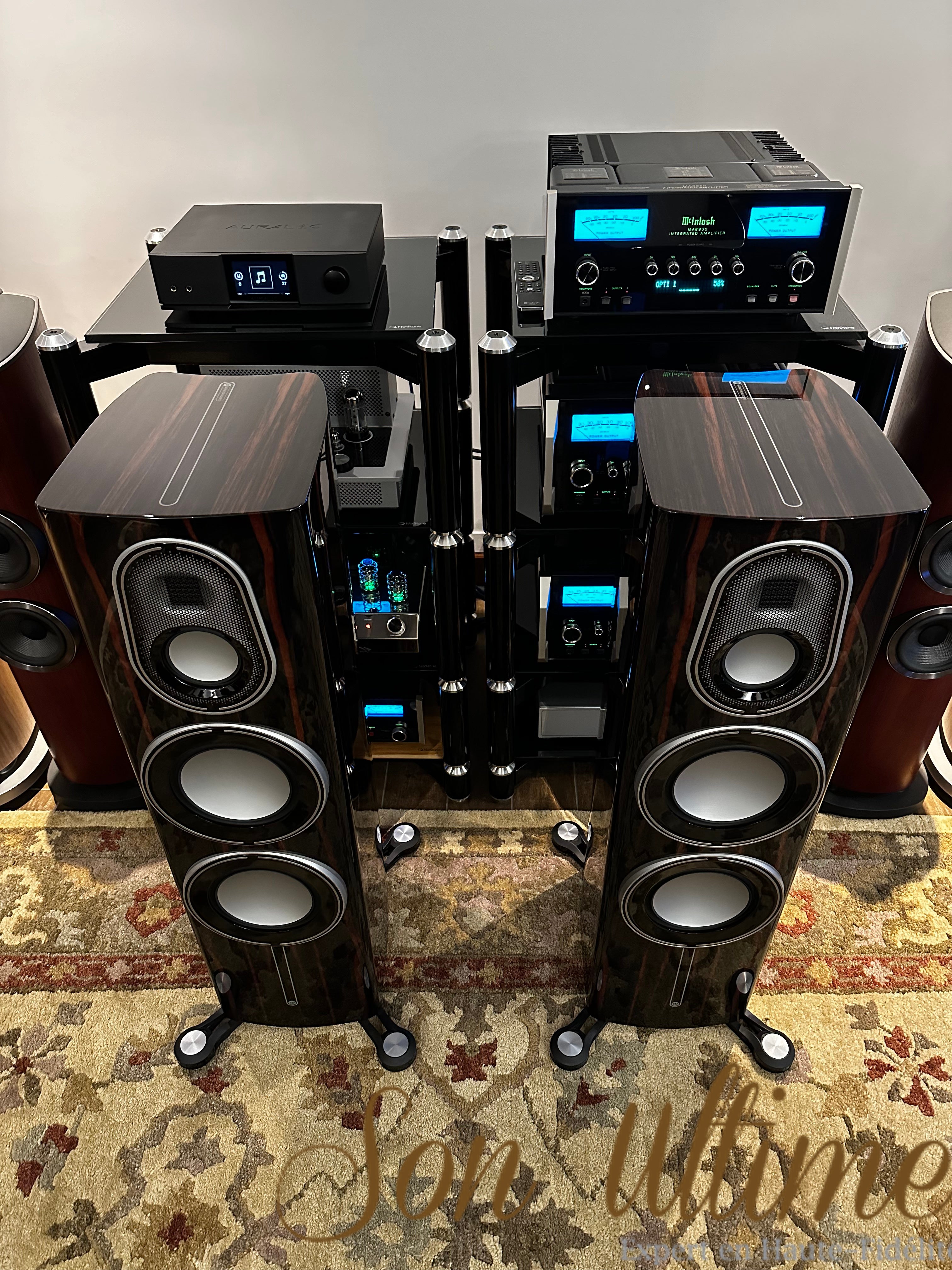 Platinum 300 3G (Used Sold)