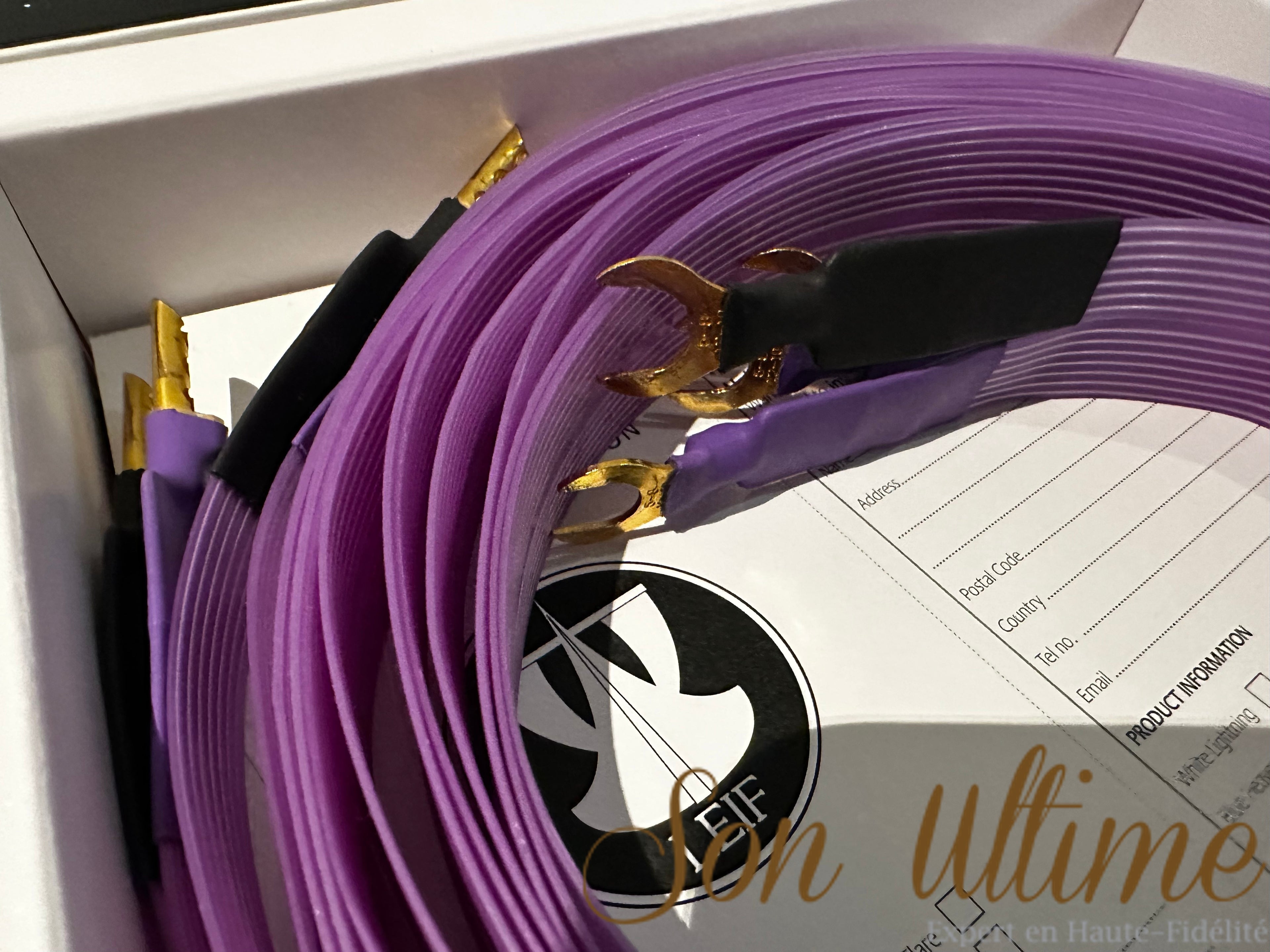 Purple Flare Spade/Banane 2.5M (Occasion Vendue)