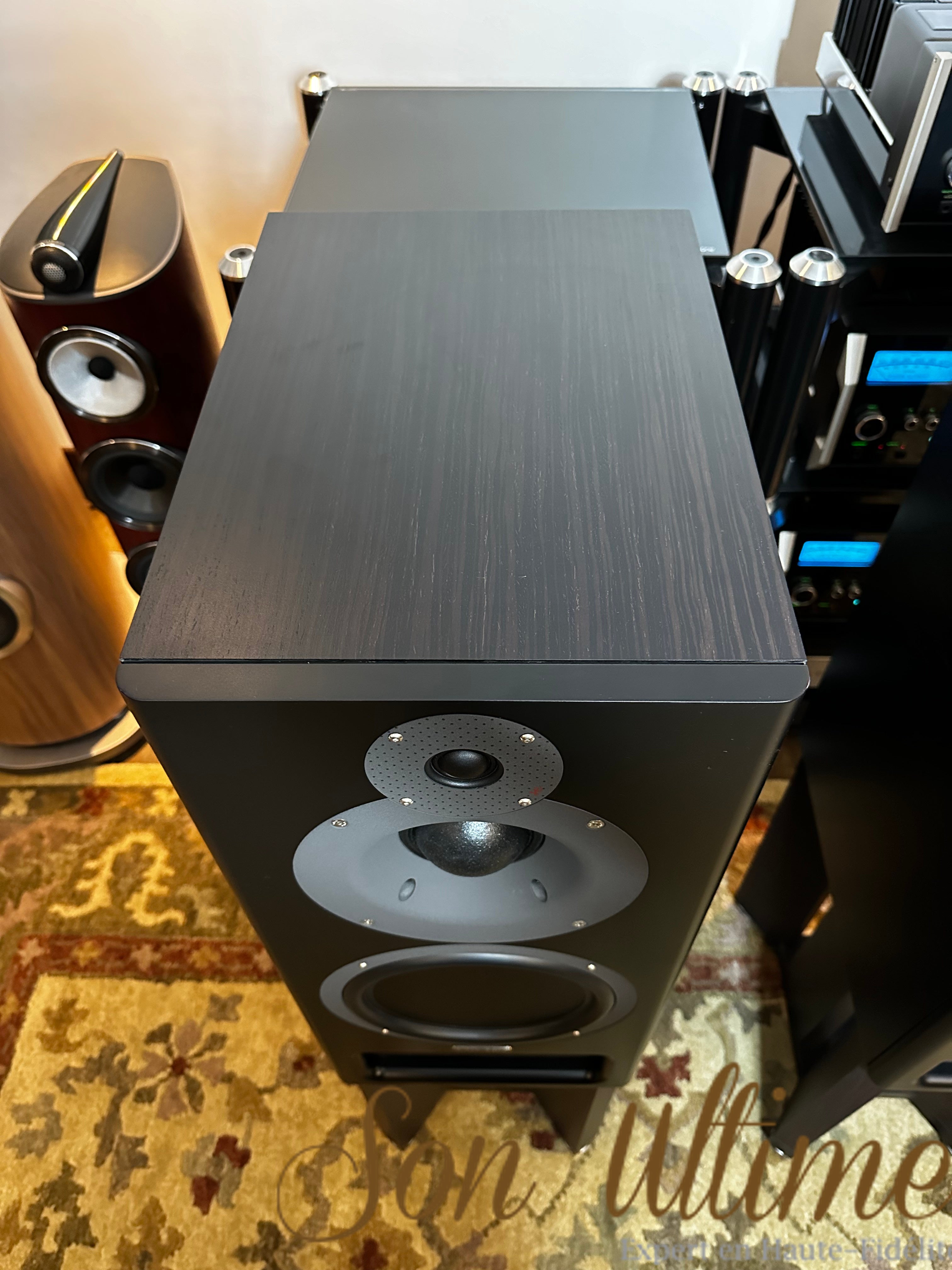 IB2SE Rich Macassar (Used)