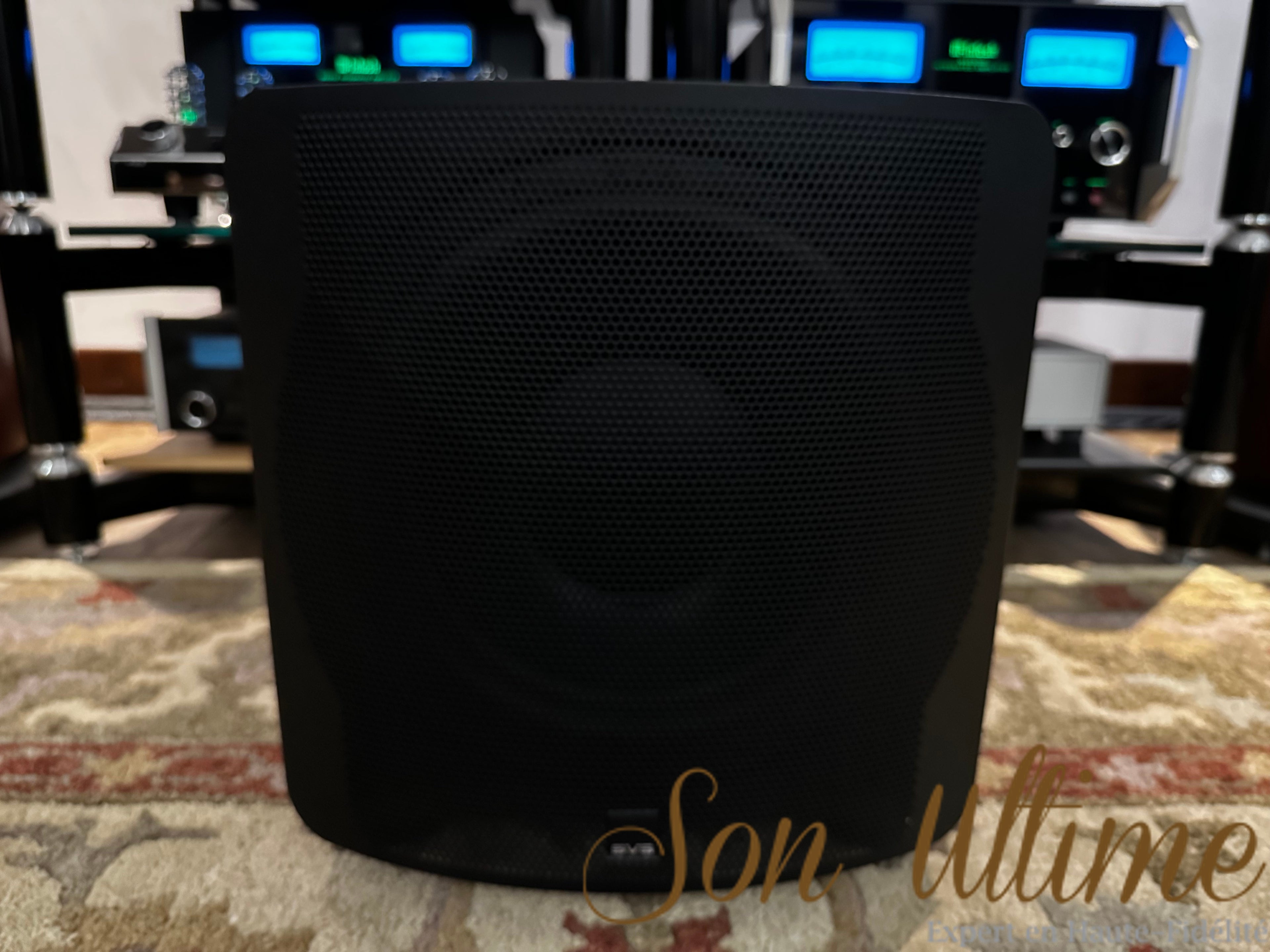SVS SB3000 (Occasion Vendue)