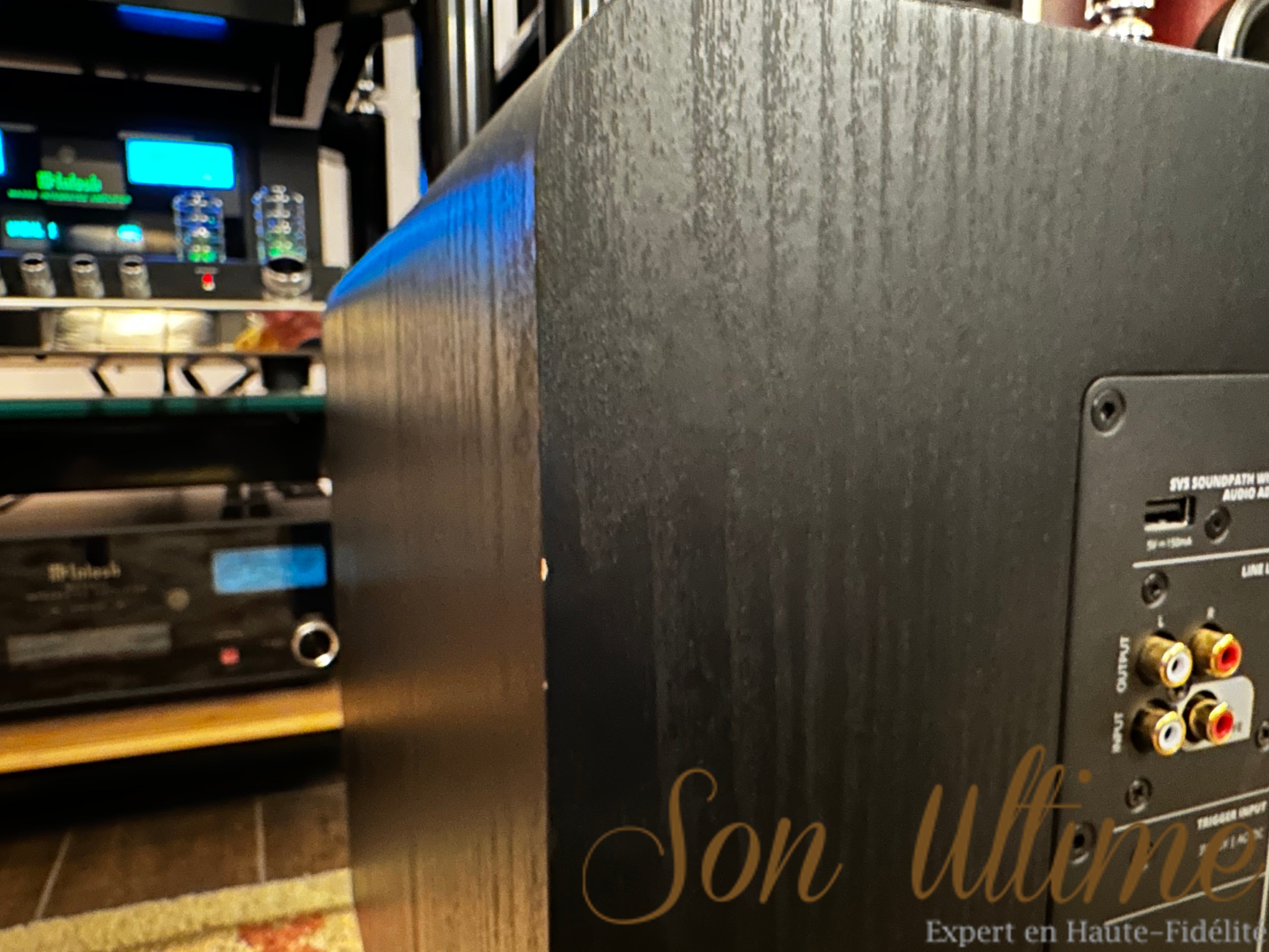 SVS SB3000 (Occasion Vendue)
