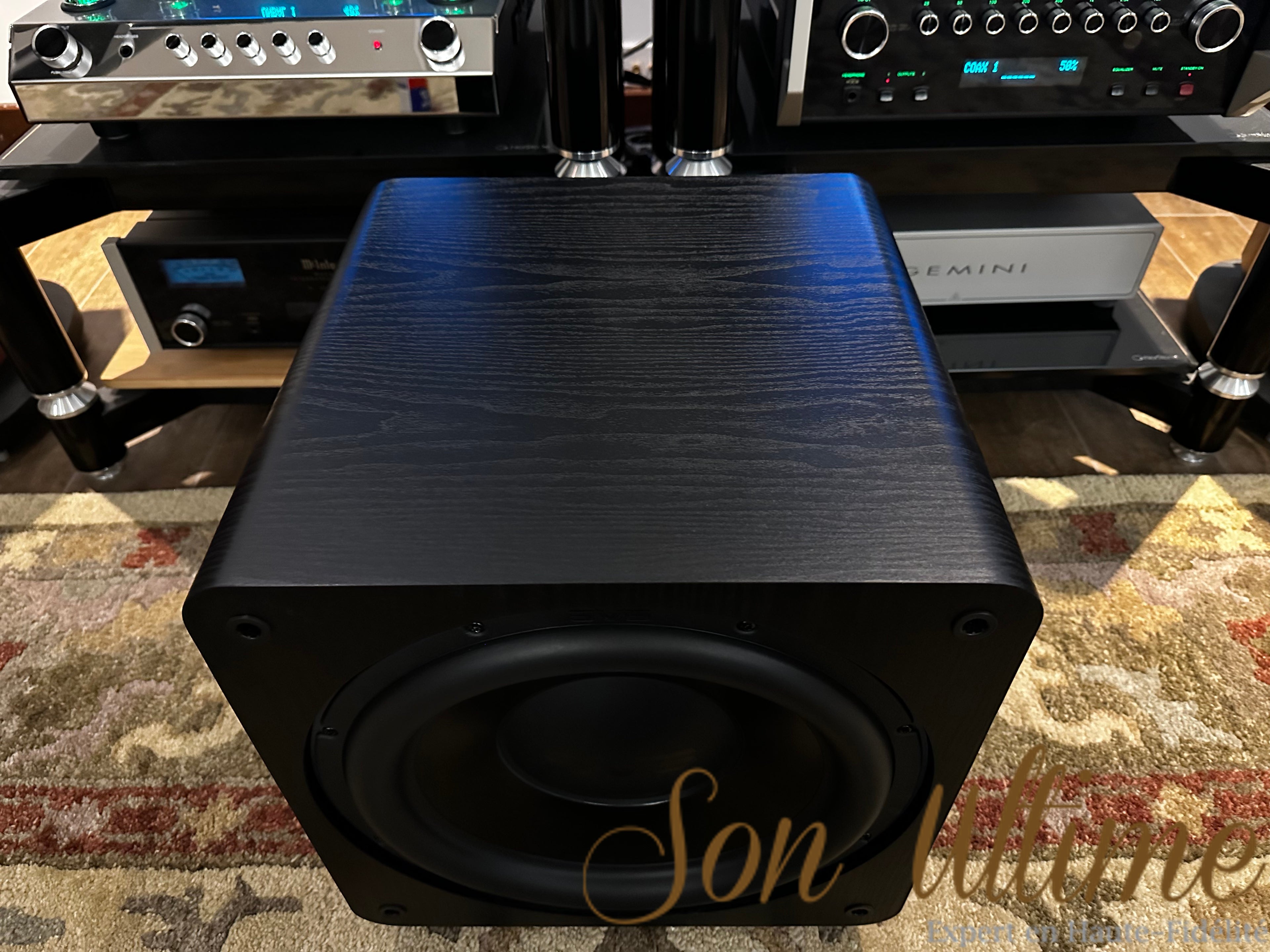SVS SB3000 (Occasion Vendue)