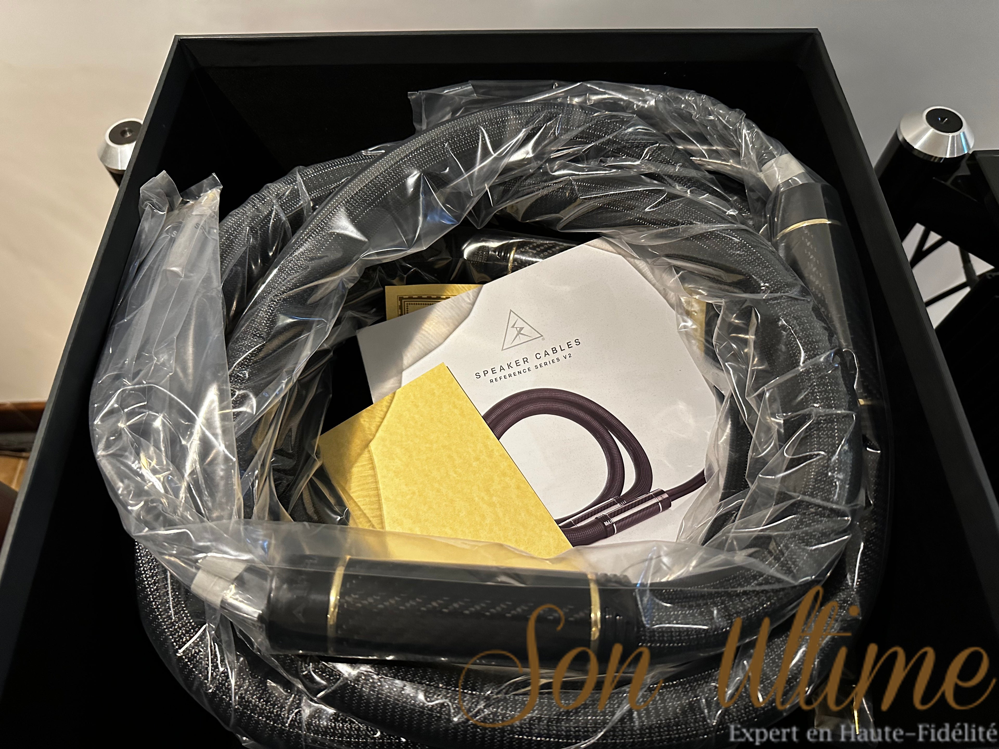 Alpha v2 Speaker Banana 3M (Used Sold)