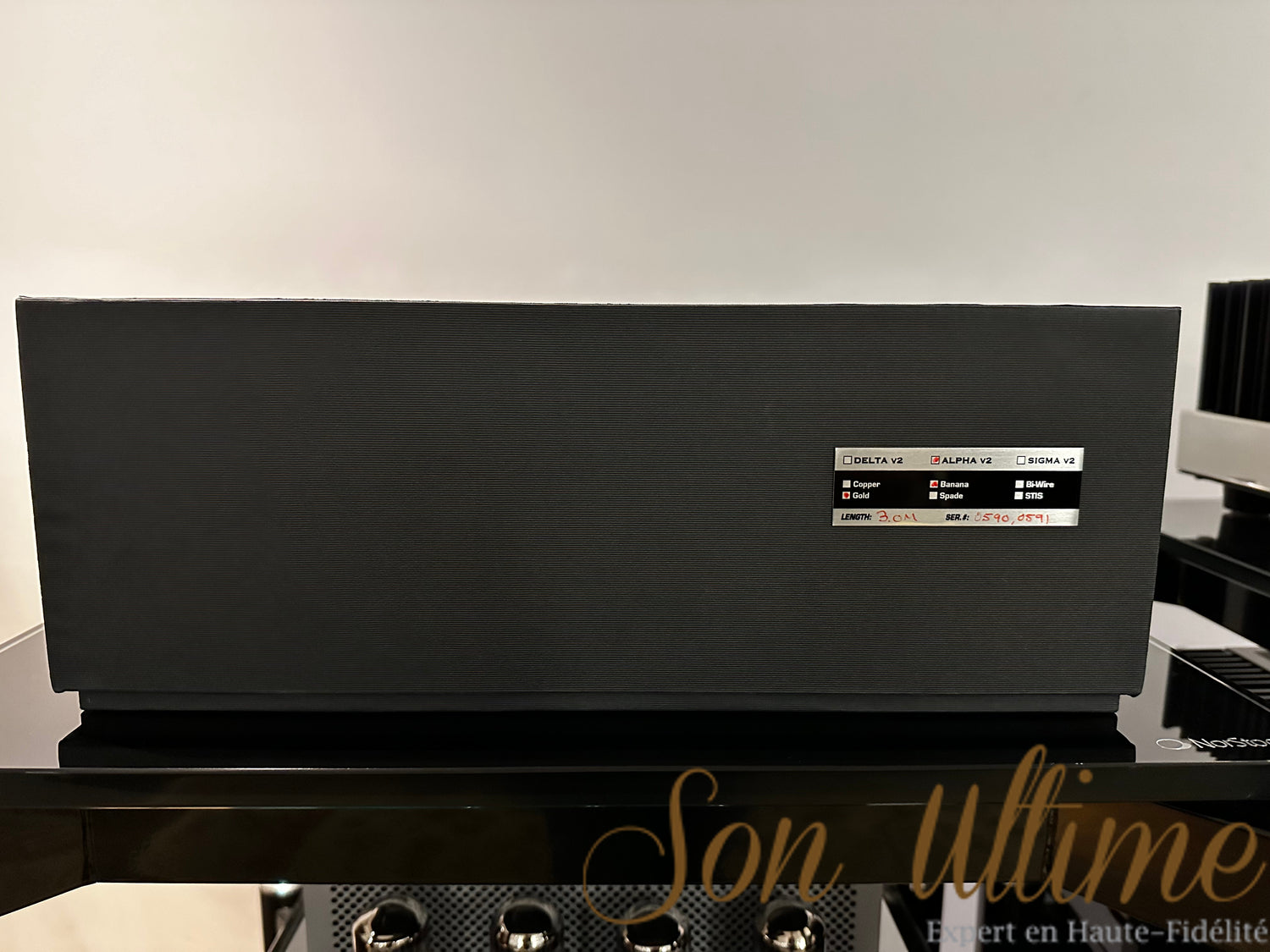 Alpha v2 Speaker Banana 3M (Used Sold)