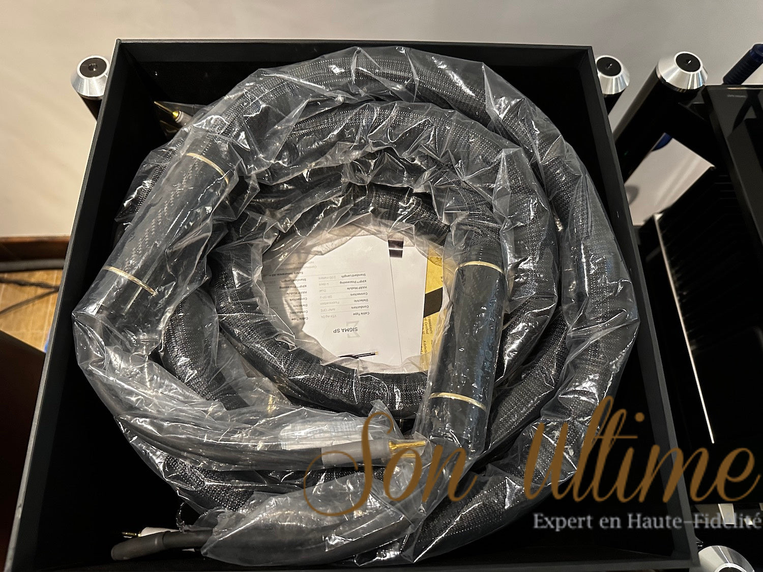 Alpha v2 Speaker Banana 4M (Used Sold)