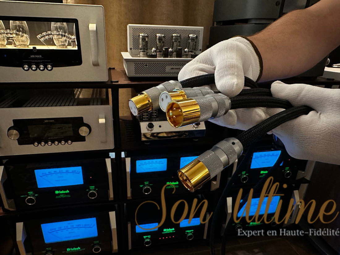 Alpha v2 XLR 1.5M (Occasion Vendue)