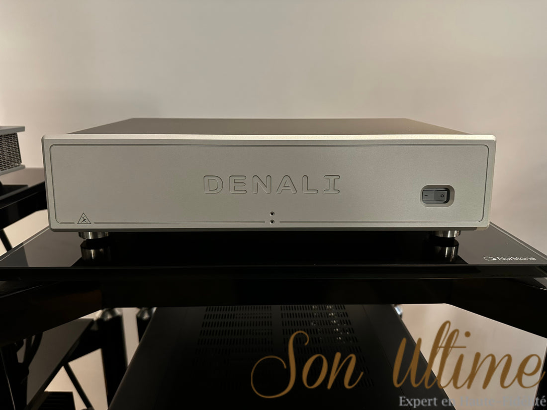 Denali 6000 v2 Argent (Occasion Vendue)