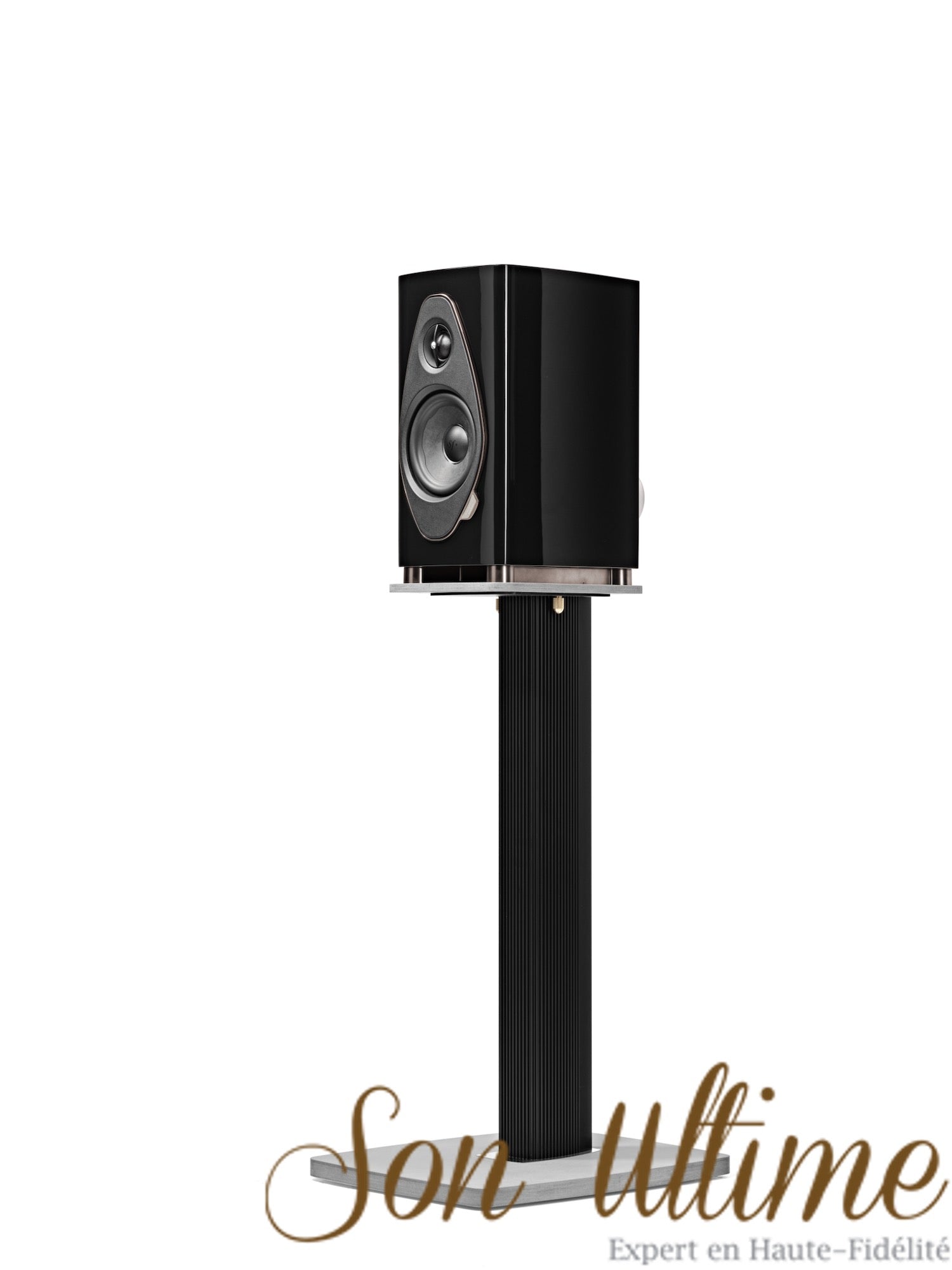 Sonetto I G2
