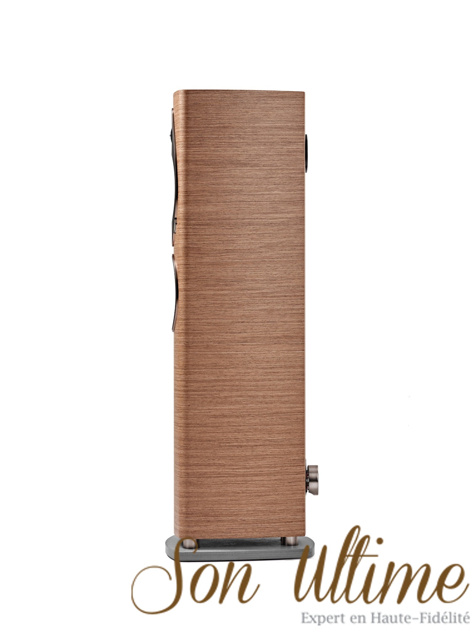 Sonetto III G2