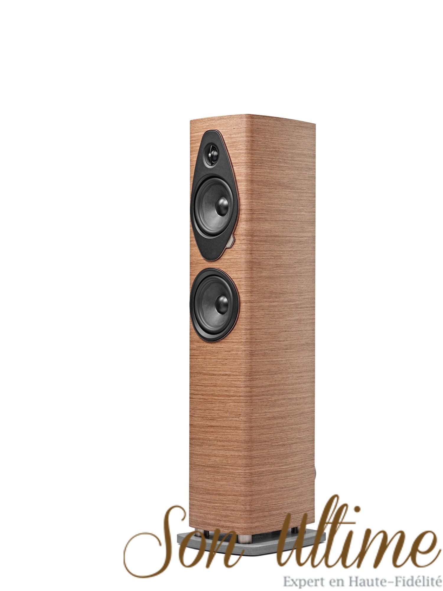 Sonetto III G2