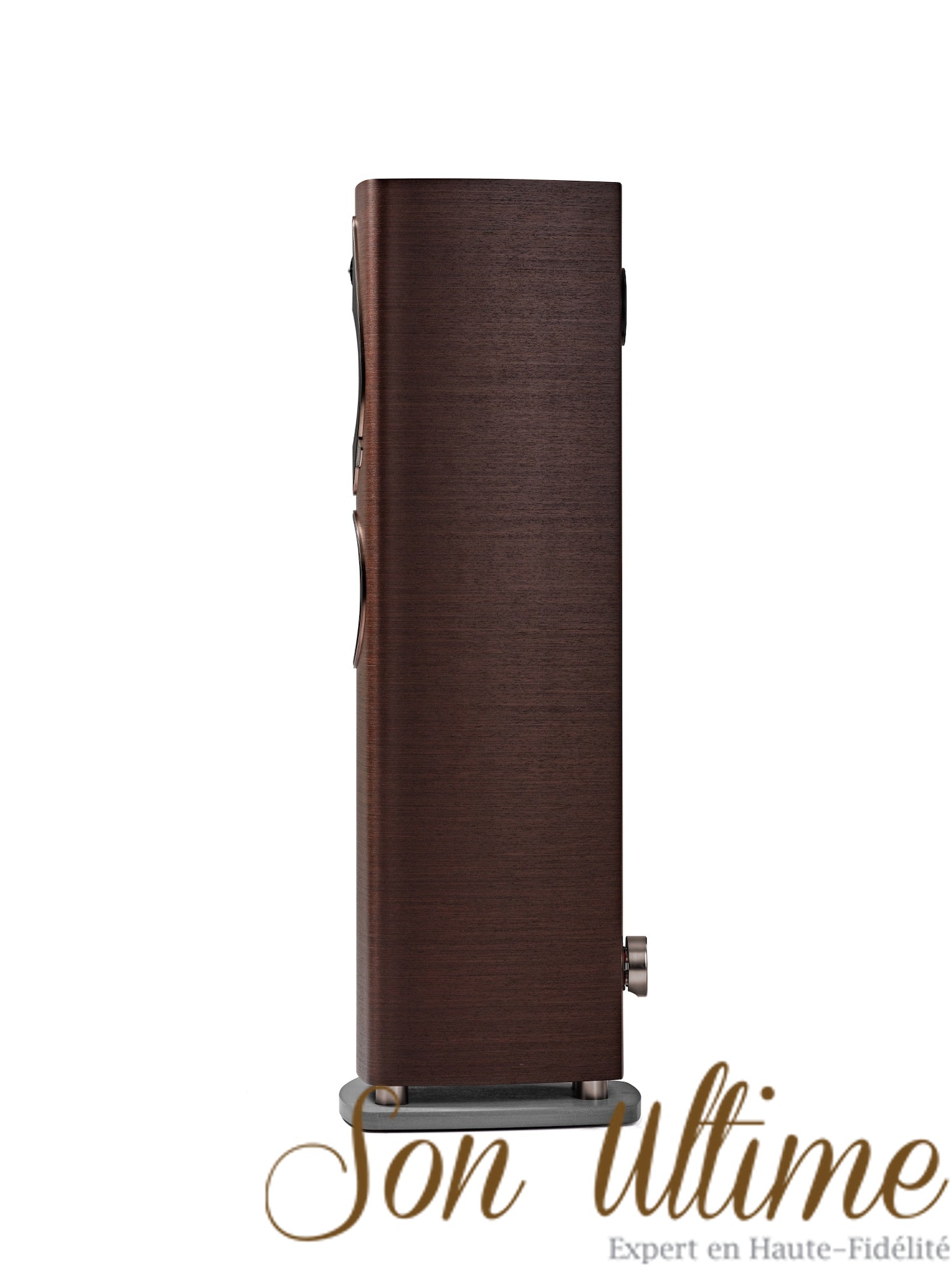 Sonetto III G2