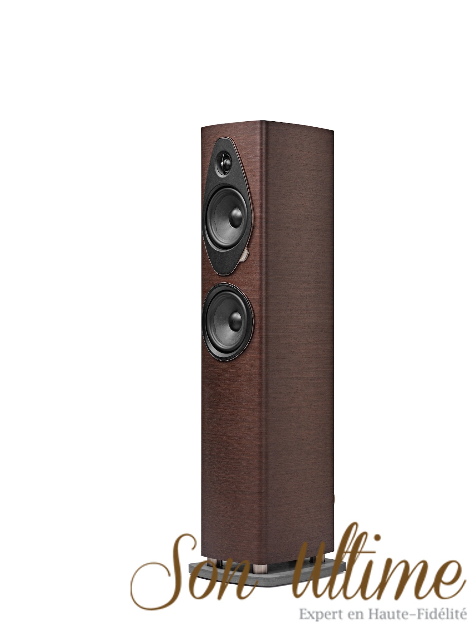 Sonetto III G2