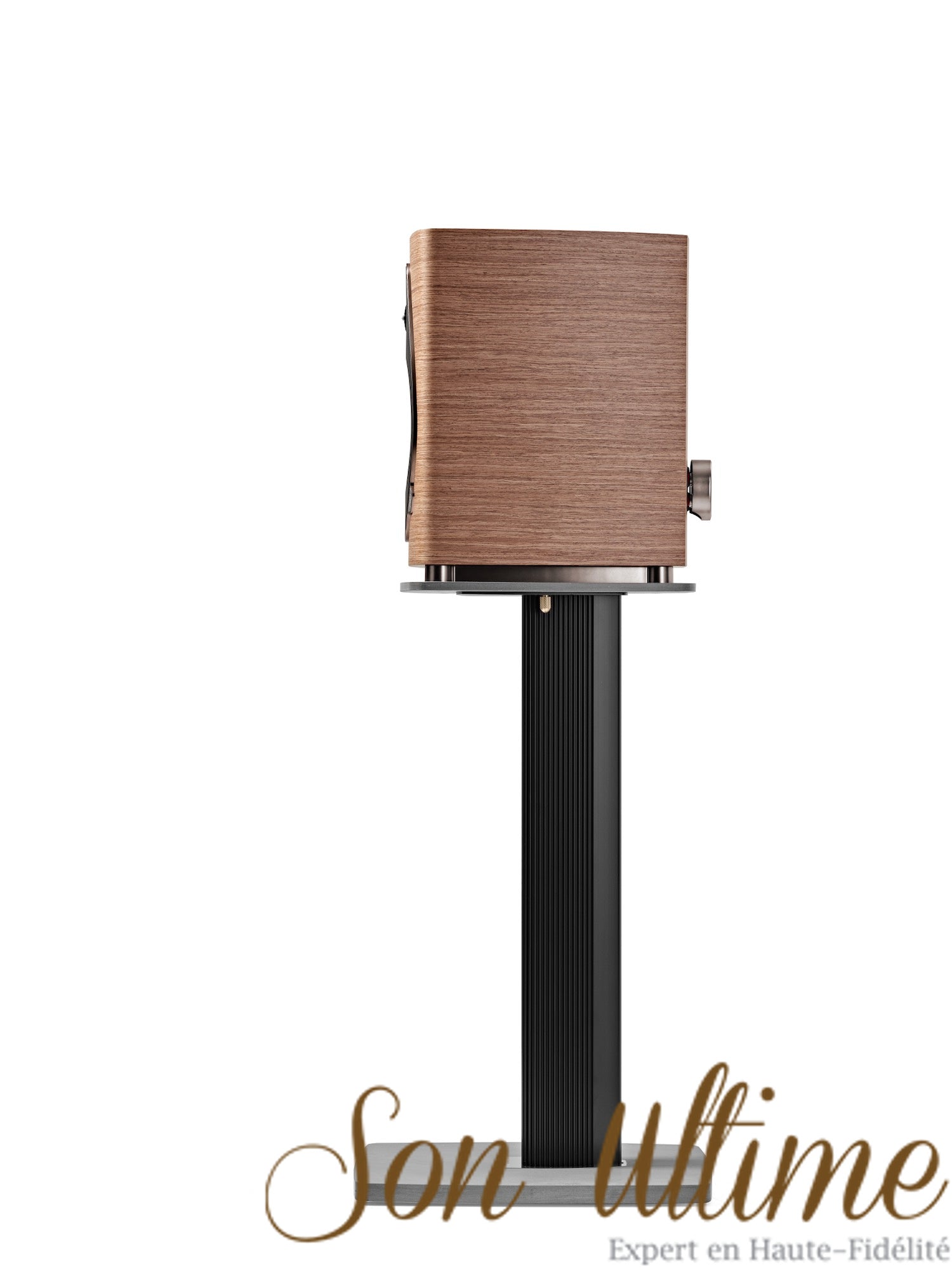 Sonetto II G2