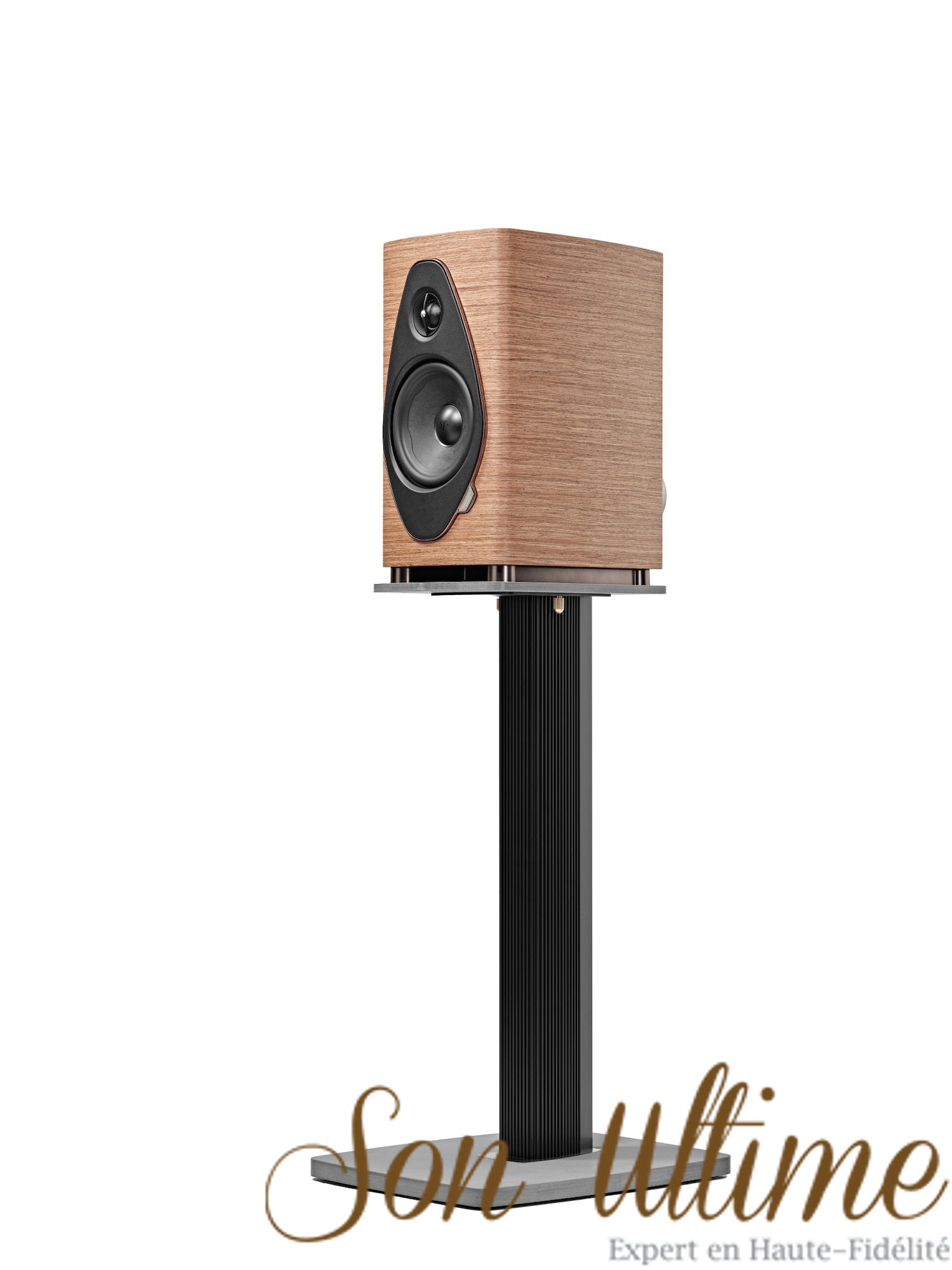 Sonetto II G2