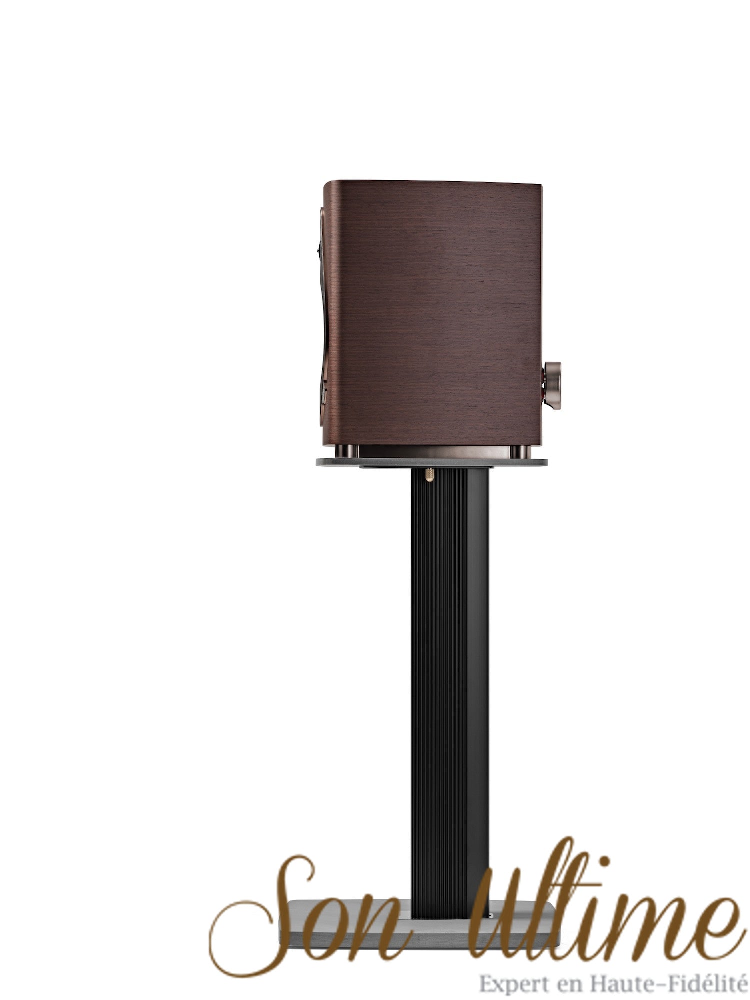 Sonetto II G2
