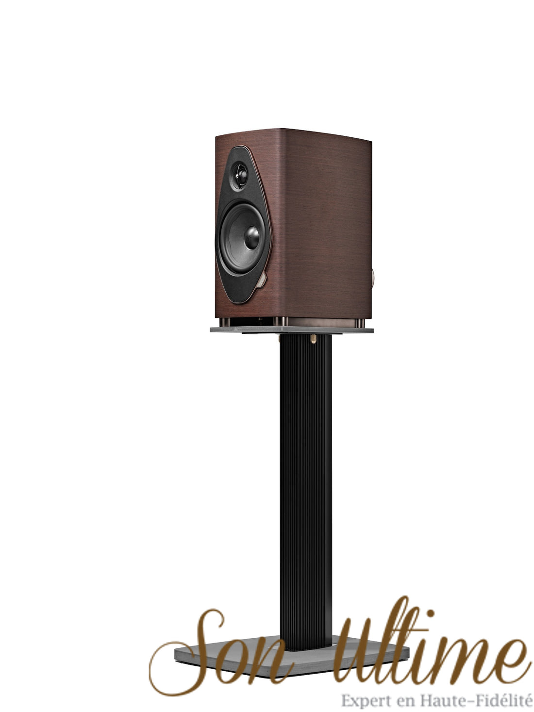 Sonetto II G2
