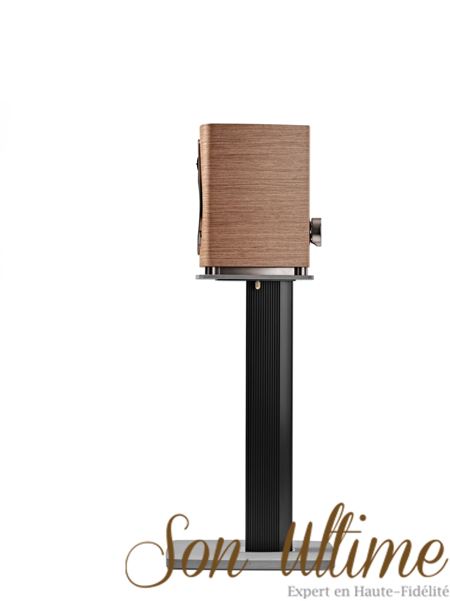 Sonetto I G2