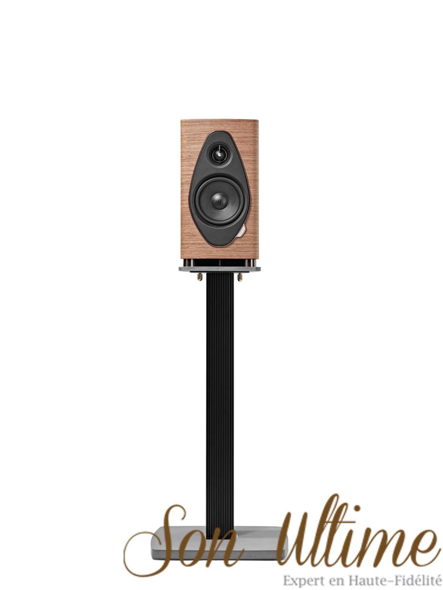 Sonetto I G2