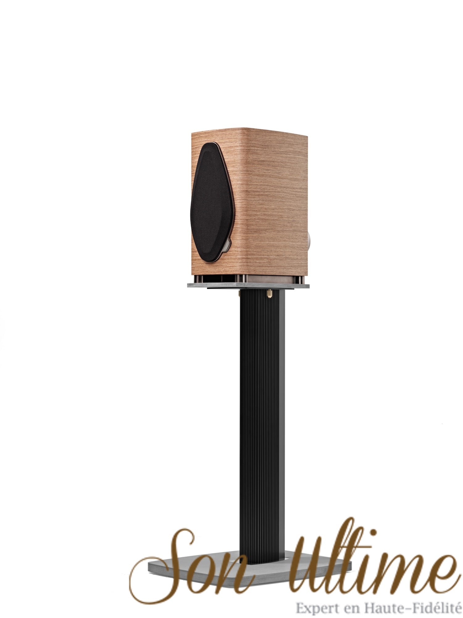 Sonetto I G2