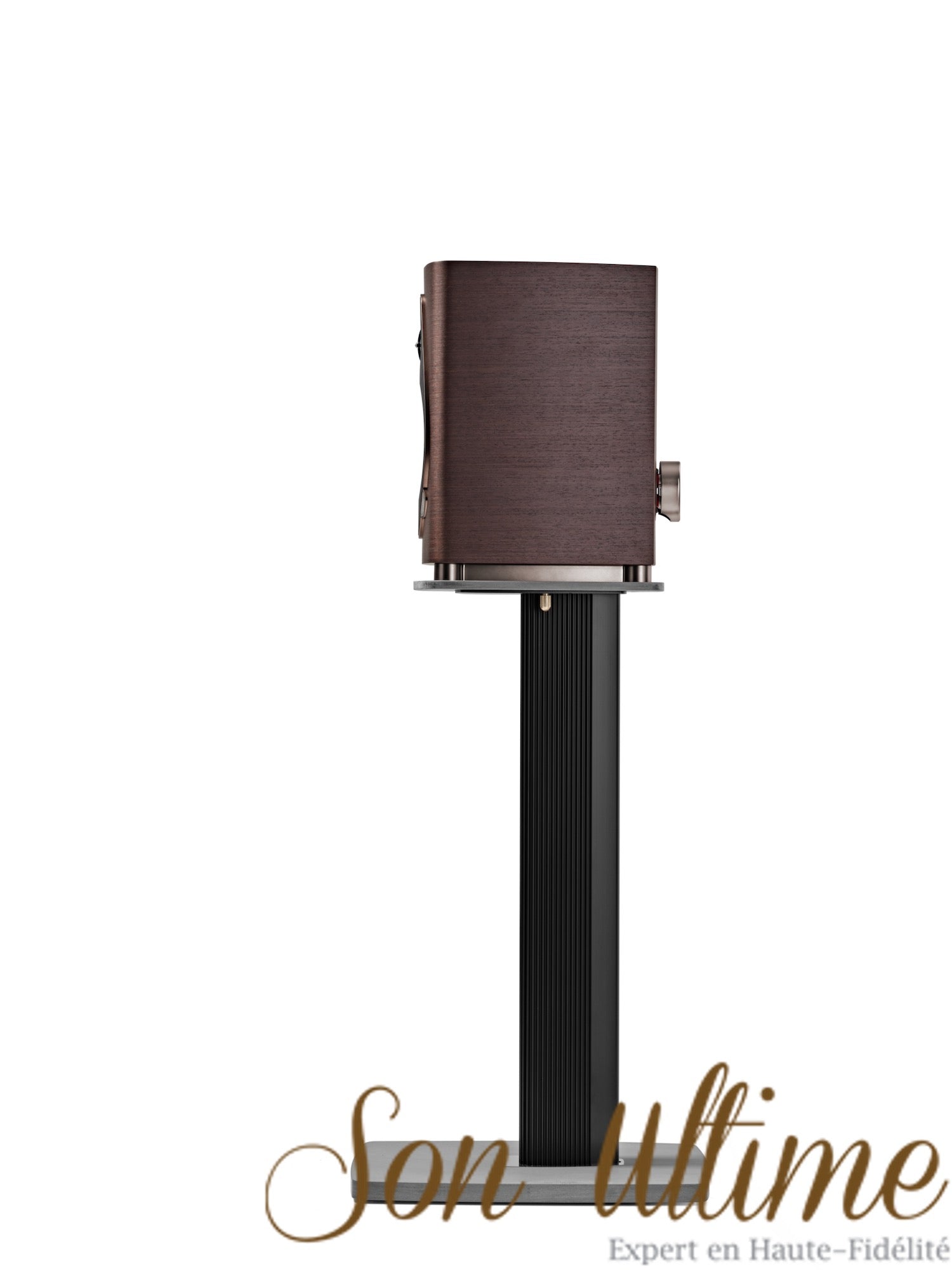 Sonetto I G2
