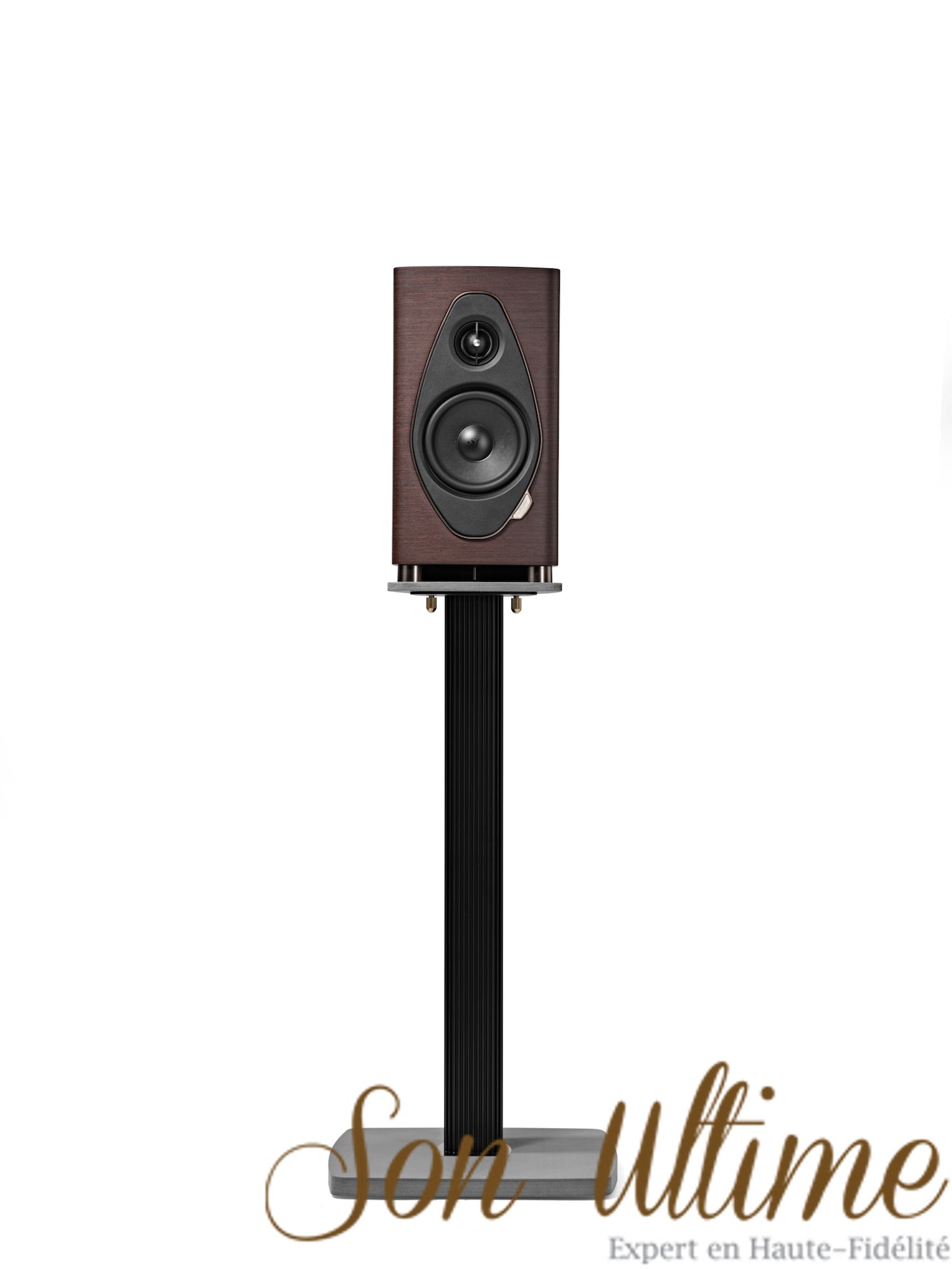 Sonetto I G2