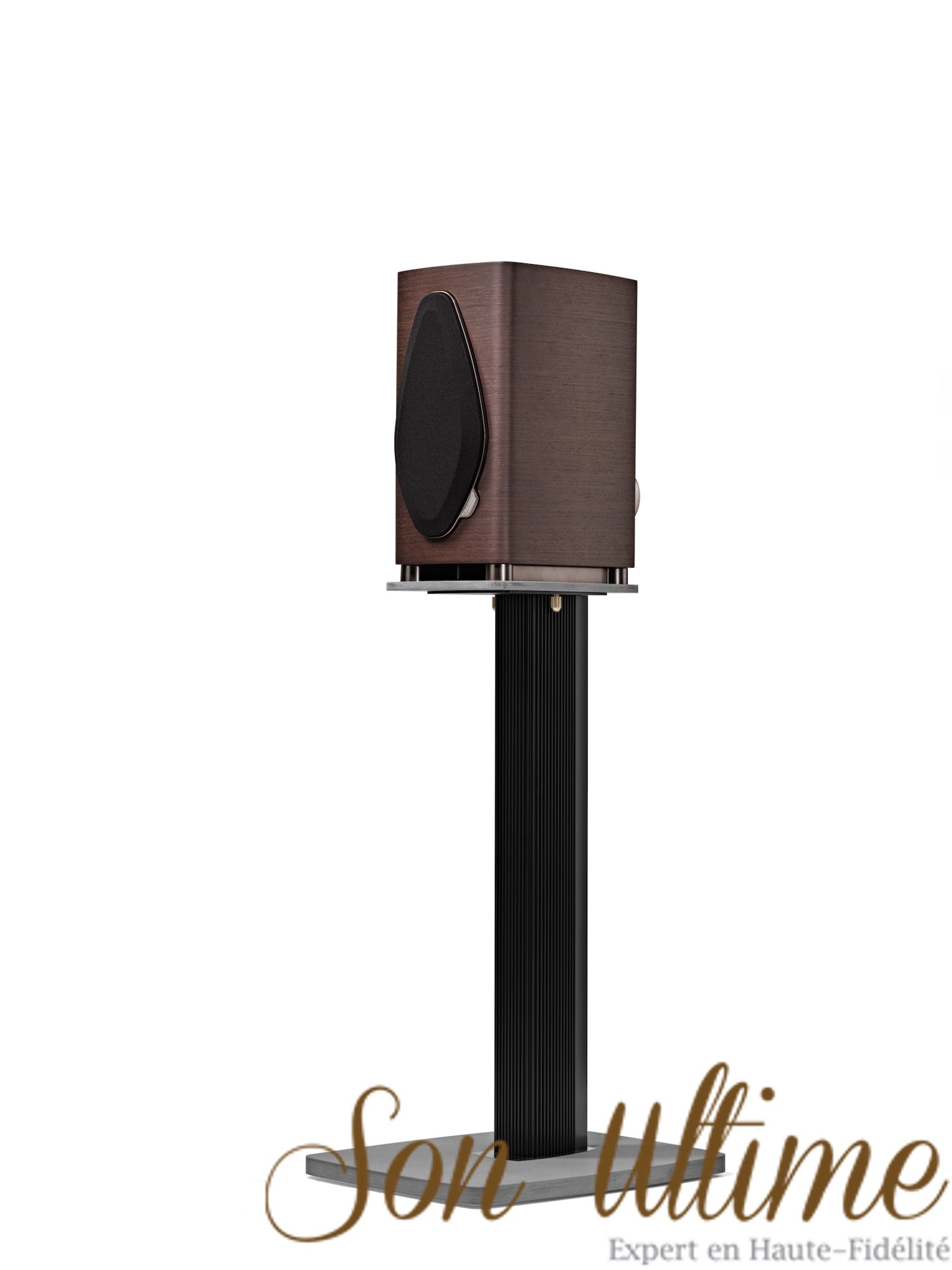 Sonetto I G2