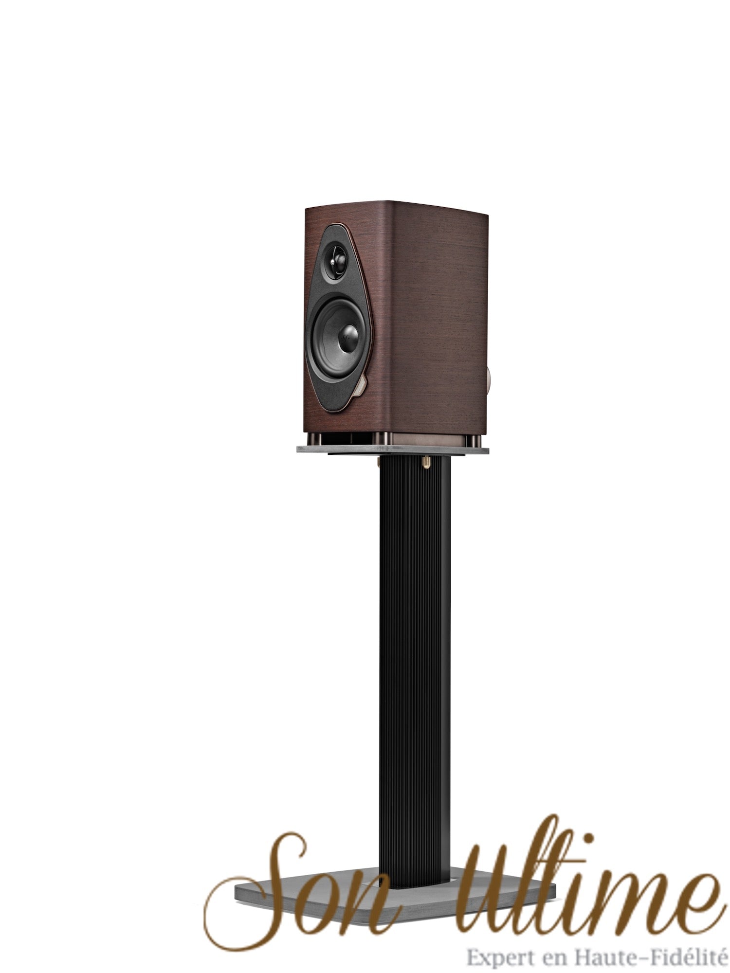 Sonetto I G2