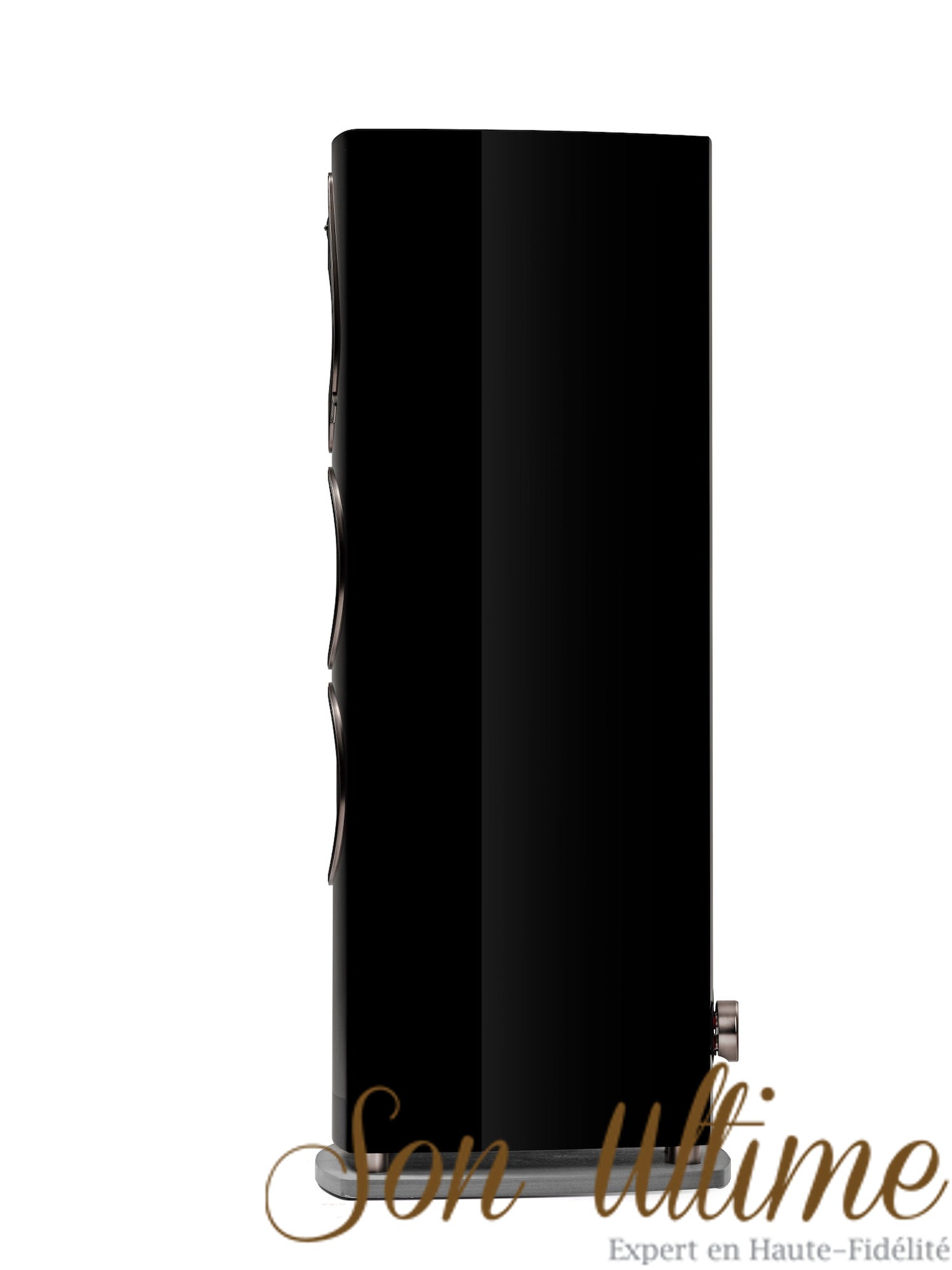Sonetto VIII G2