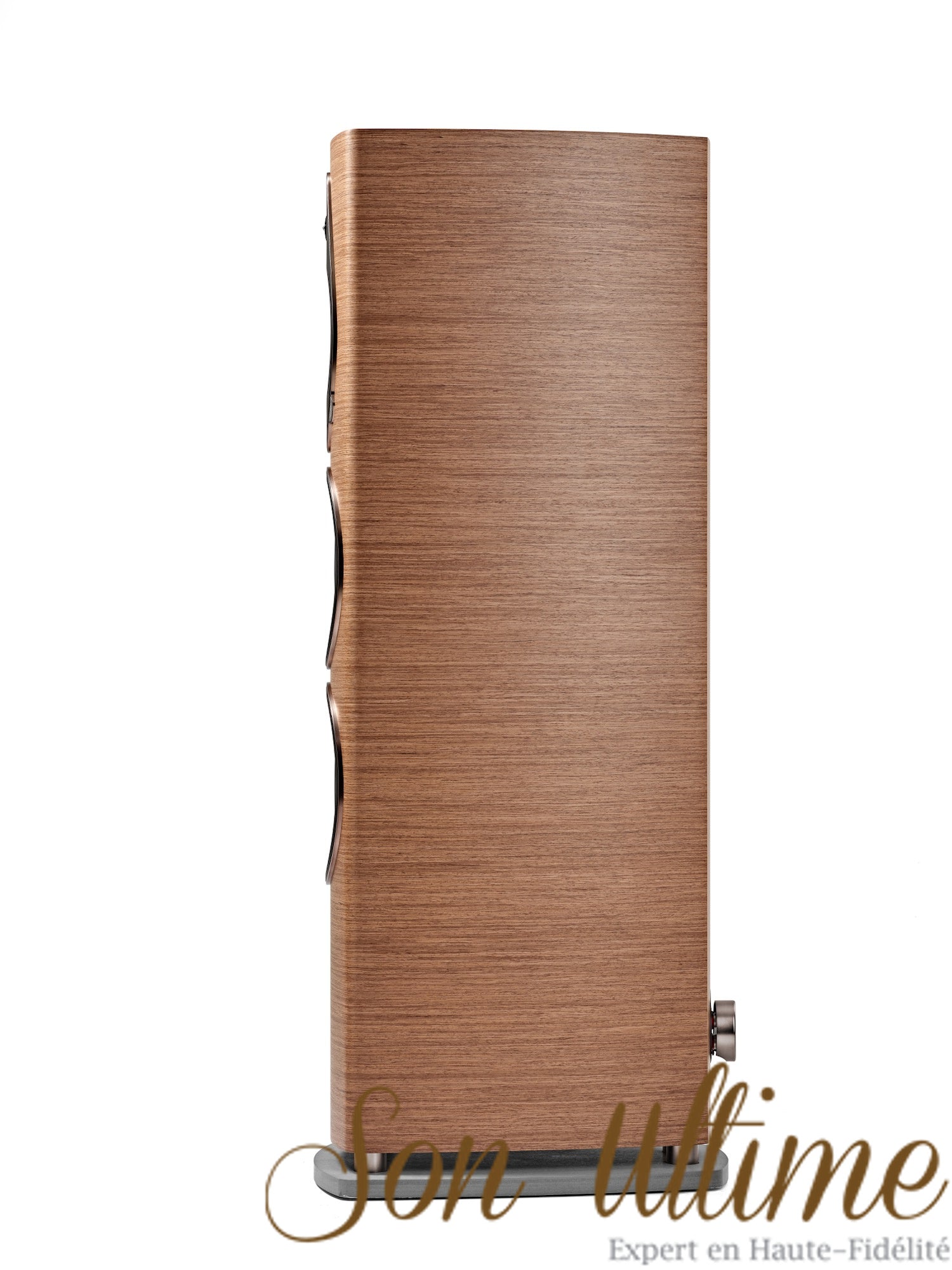 Sonetto VIII G2