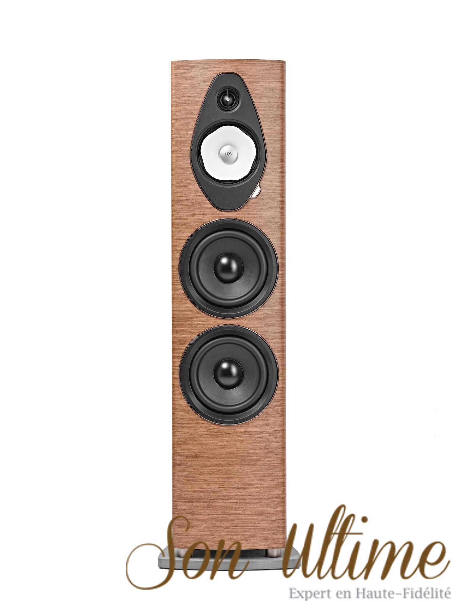 Sonetto VIII G2