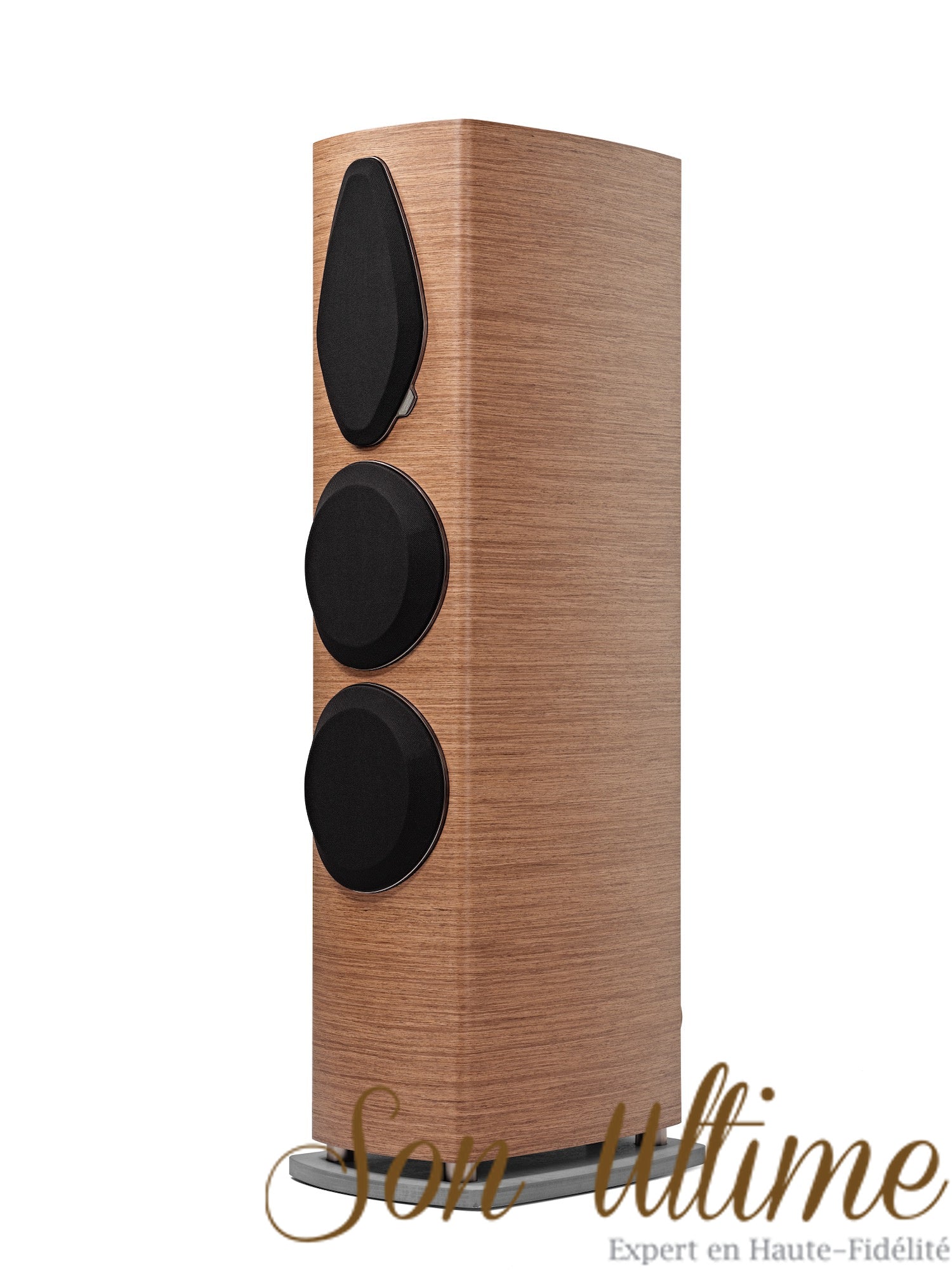 Sonetto VIII G2